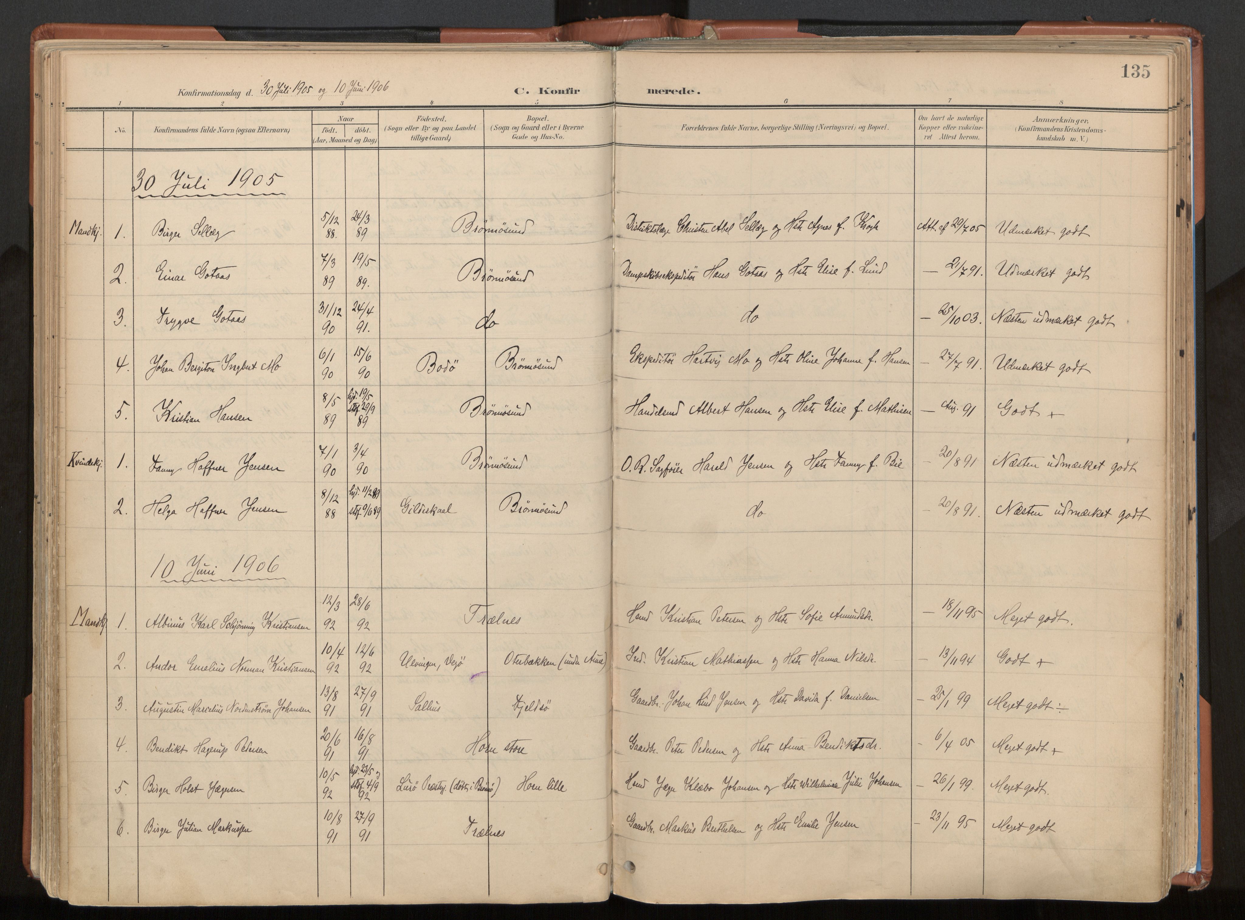Ministerialprotokoller, klokkerbøker og fødselsregistre - Nordland, AV/SAT-A-1459/813/L0201: Parish register (official) no. 813A11, 1901-1918, p. 135