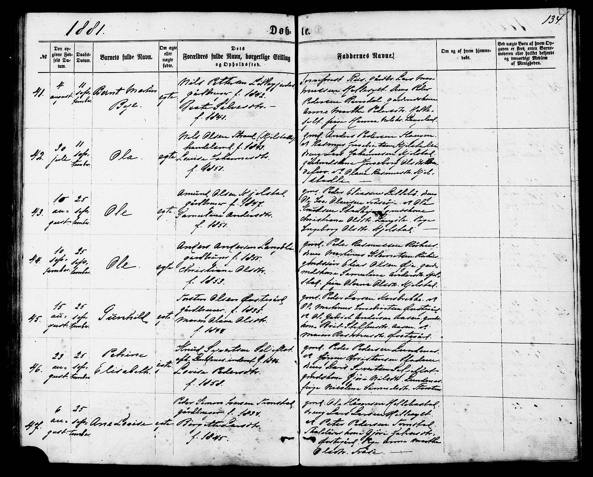 Ministerialprotokoller, klokkerbøker og fødselsregistre - Møre og Romsdal, AV/SAT-A-1454/517/L0226: Parish register (official) no. 517A06, 1862-1881, p. 134