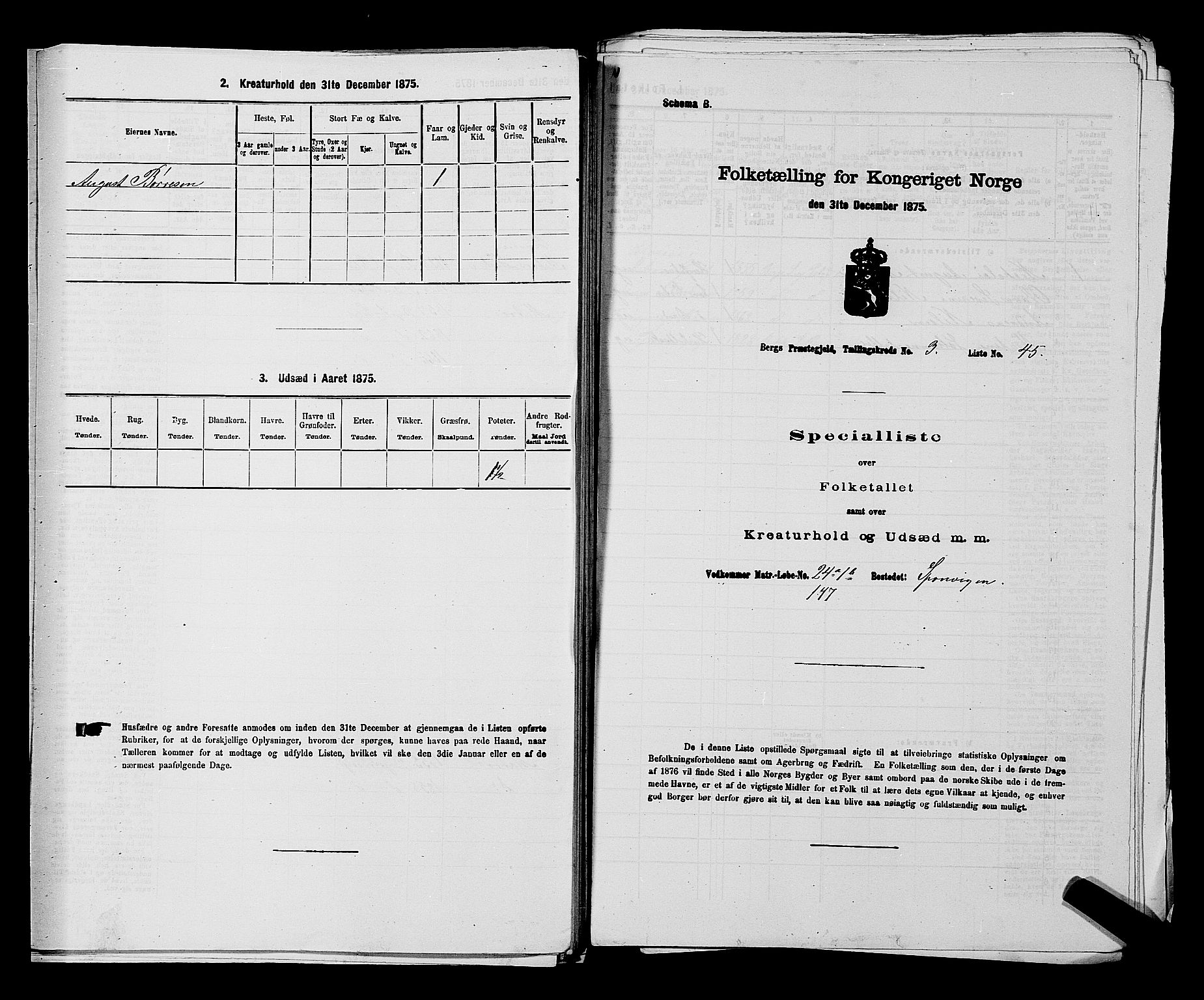 RA, 1875 census for 0116P Berg, 1875, p. 404