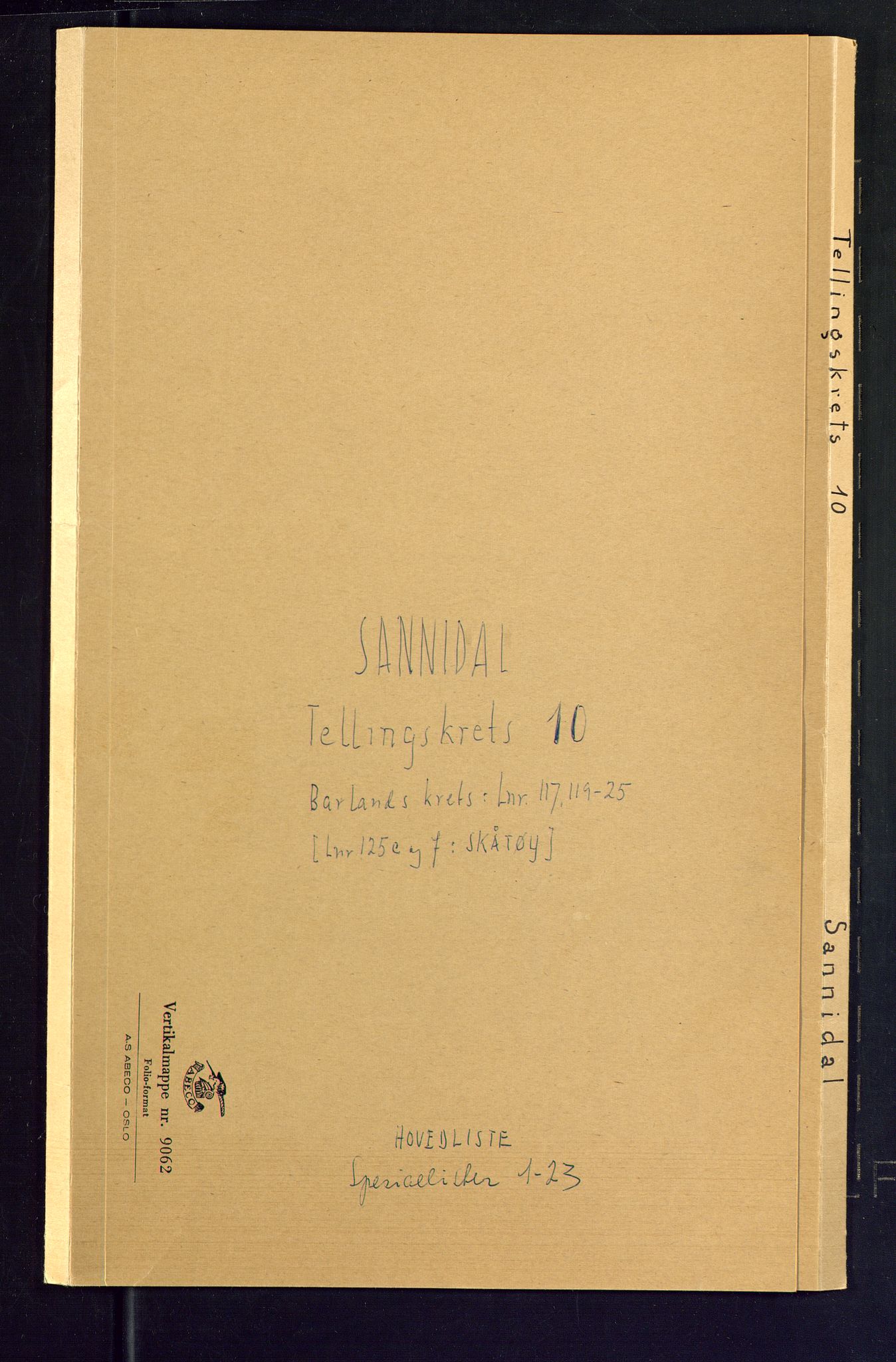 SAKO, 1875 census for 0816P Sannidal, 1875, p. 36