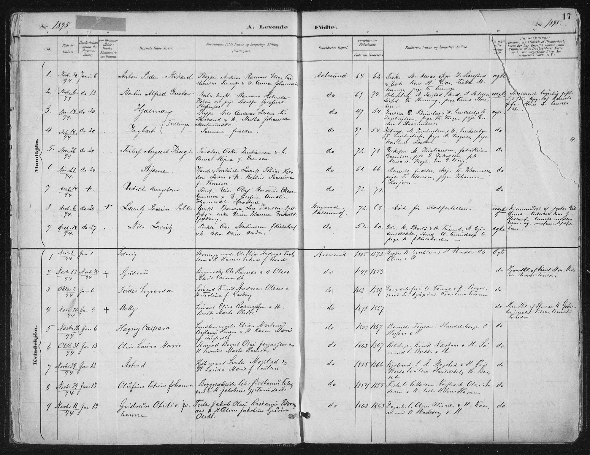 Ministerialprotokoller, klokkerbøker og fødselsregistre - Møre og Romsdal, SAT/A-1454/529/L0456: Parish register (official) no. 529A06, 1894-1906, p. 17