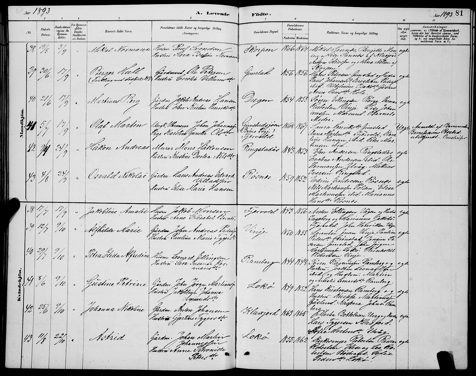 Ministerialprotokoller, klokkerbøker og fødselsregistre - Nordland, AV/SAT-A-1459/891/L1315: Parish register (copy) no. 891C04, 1886-1893, p. 81