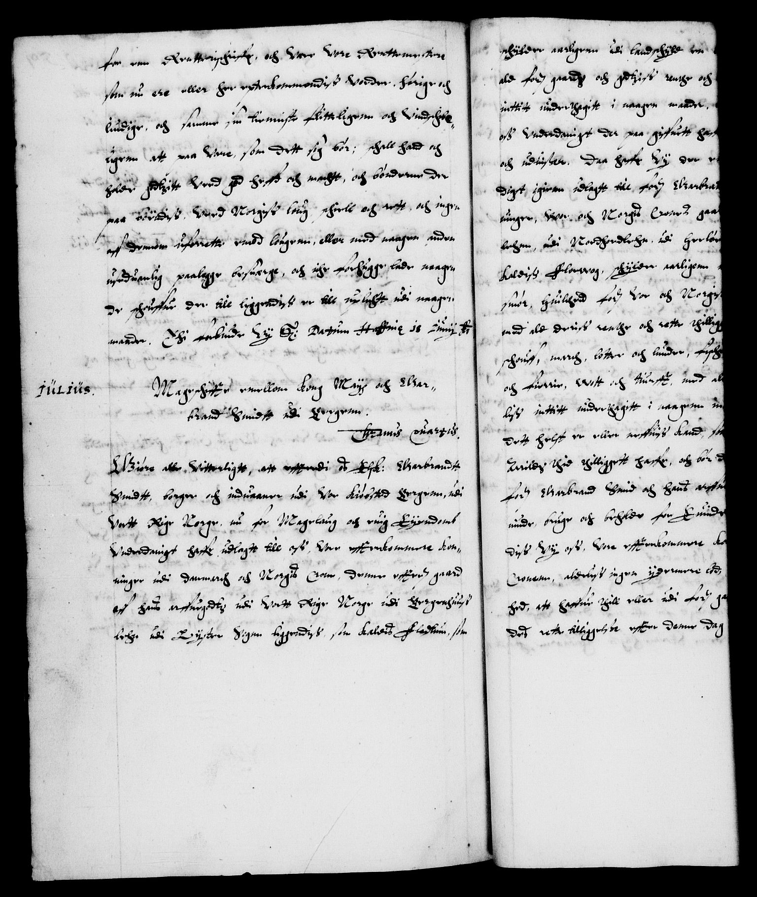 Danske Kanselli 1572-1799, RA/EA-3023/F/Fc/Fca/Fcaa/L0003: Norske registre (mikrofilm), 1596-1616, p. 501b