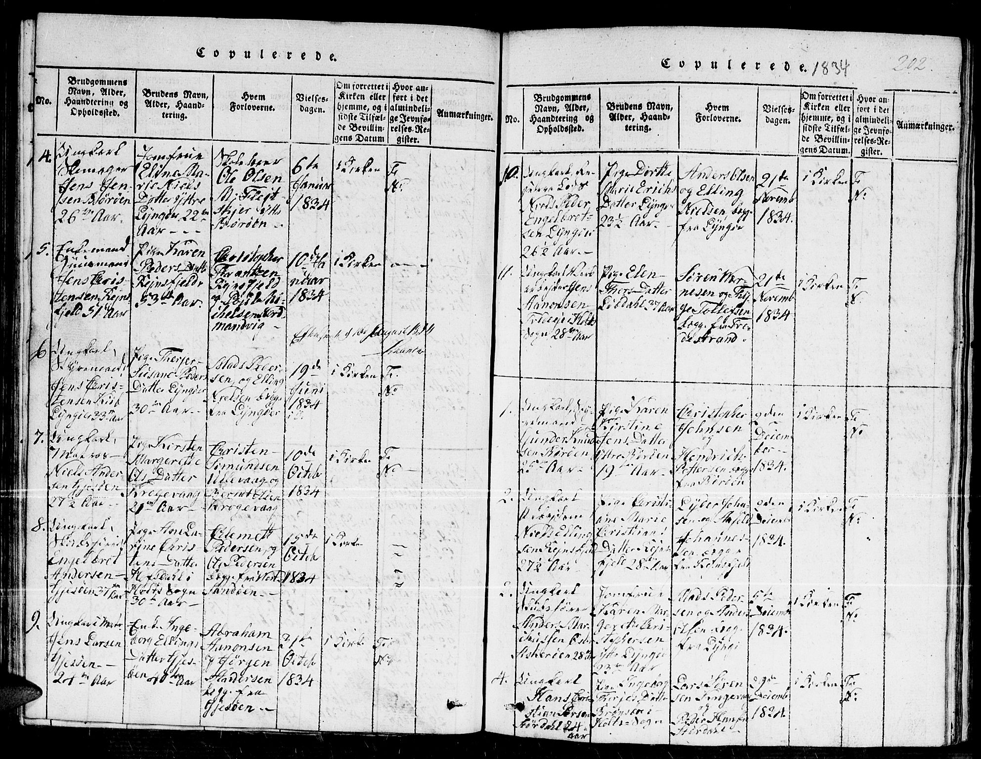 Dypvåg sokneprestkontor, SAK/1111-0007/F/Fb/Fba/L0009: Parish register (copy) no. B 9, 1816-1842, p. 202