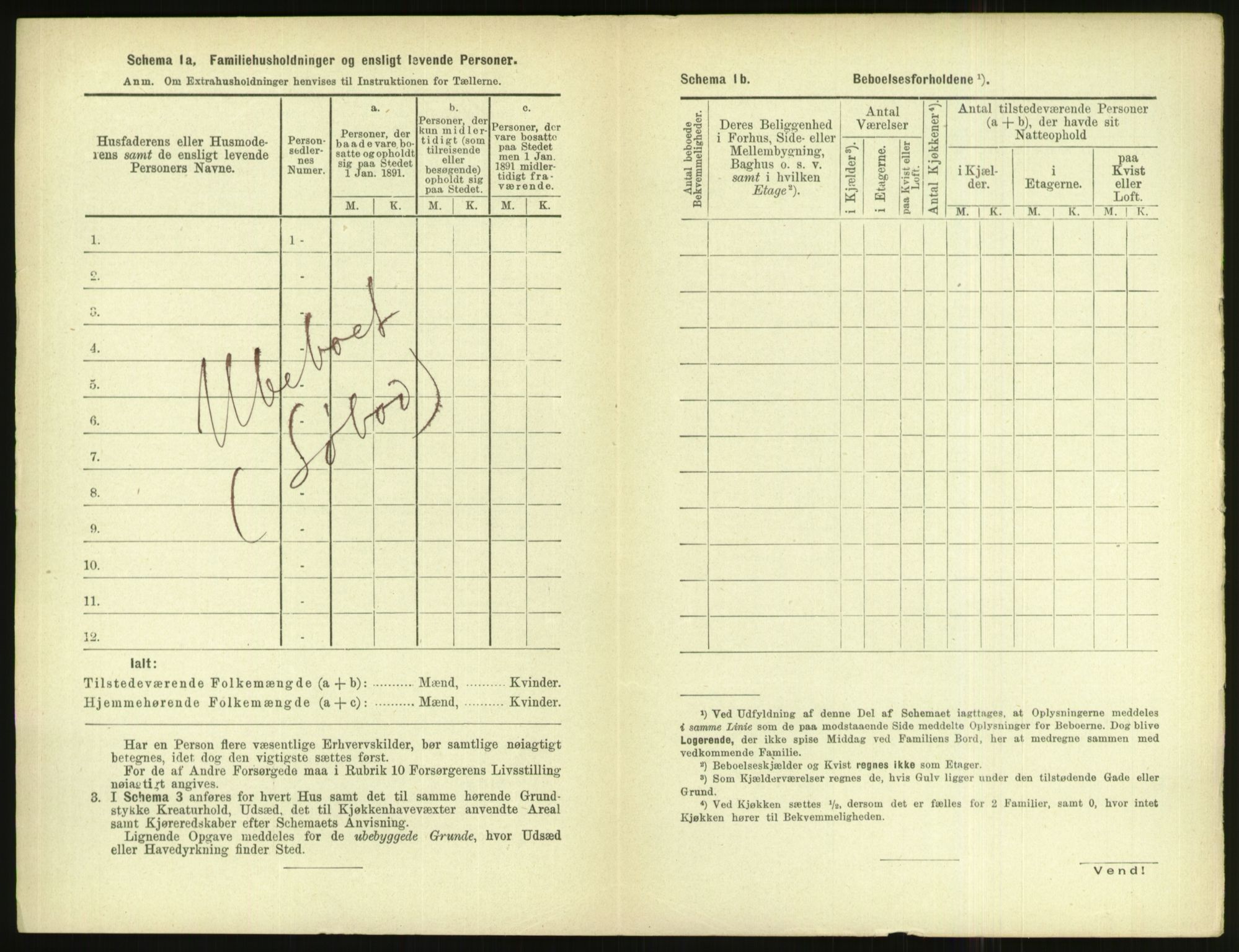 RA, 1891 census for 1004 Flekkefjord, 1891, p. 541