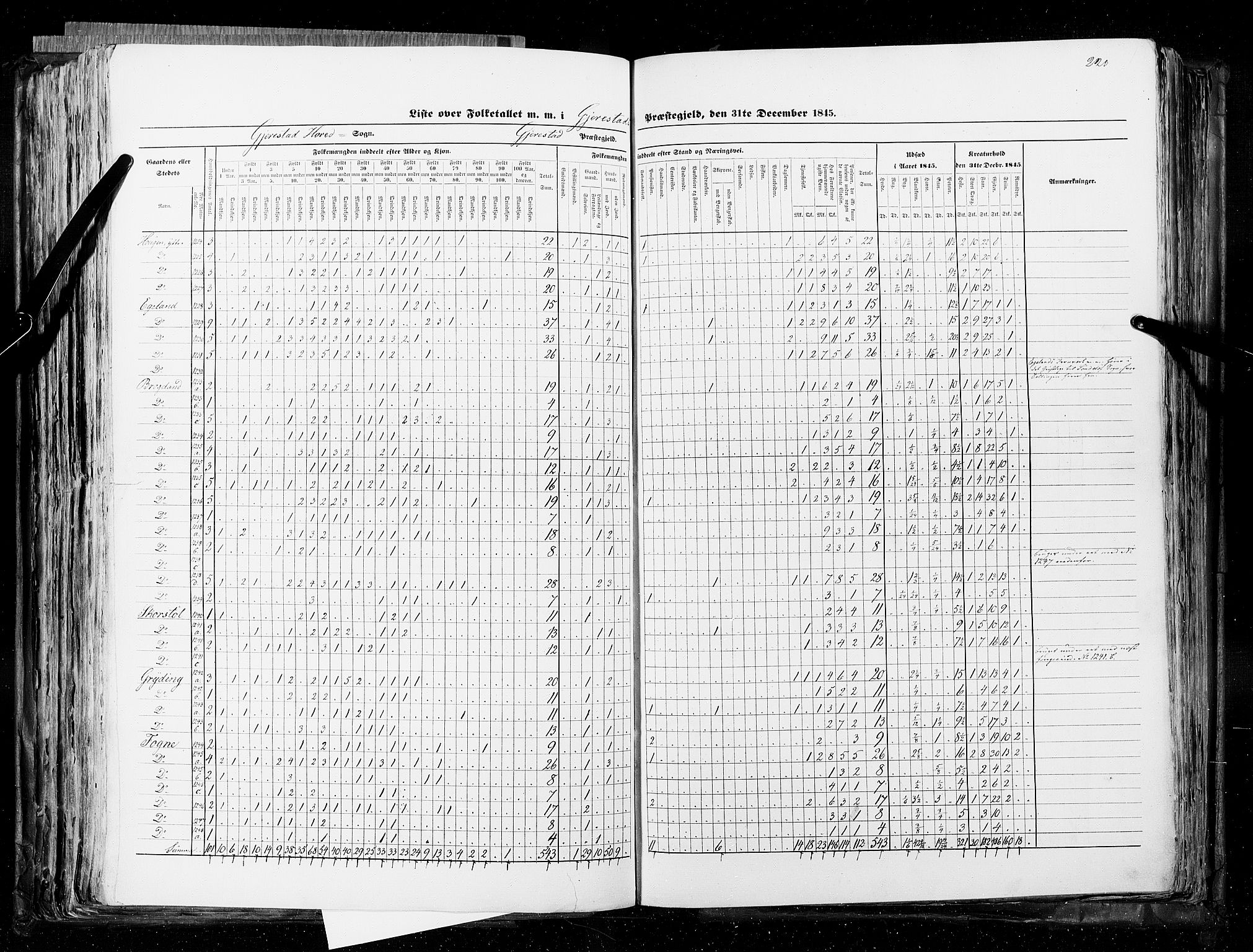 RA, Census 1845, vol. 5: Bratsberg amt og Nedenes og Råbyggelaget amt, 1845, p. 220