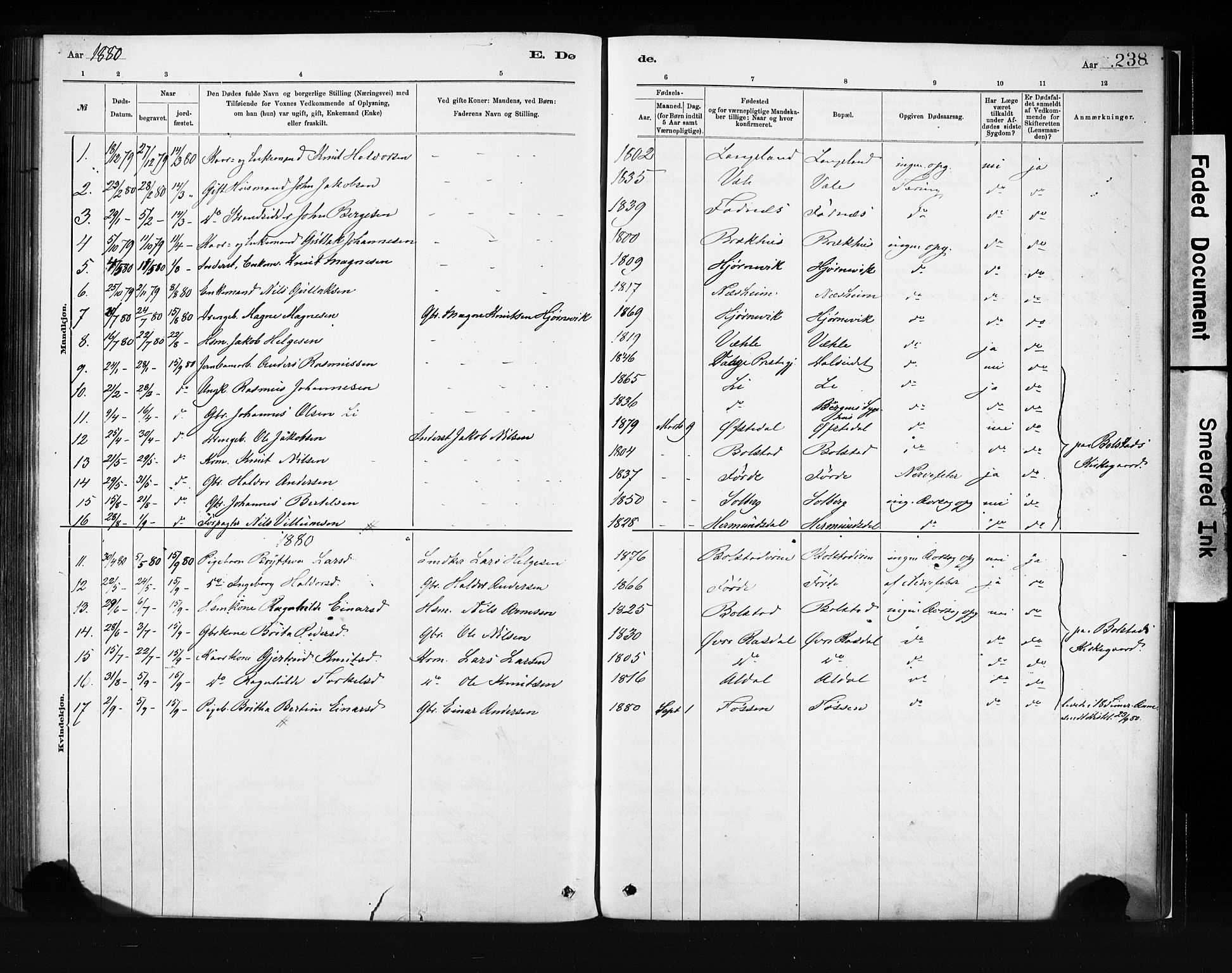 Evanger sokneprestembete, AV/SAB-A-99924: Parish register (official) no. A 1, 1877-1899, p. 238