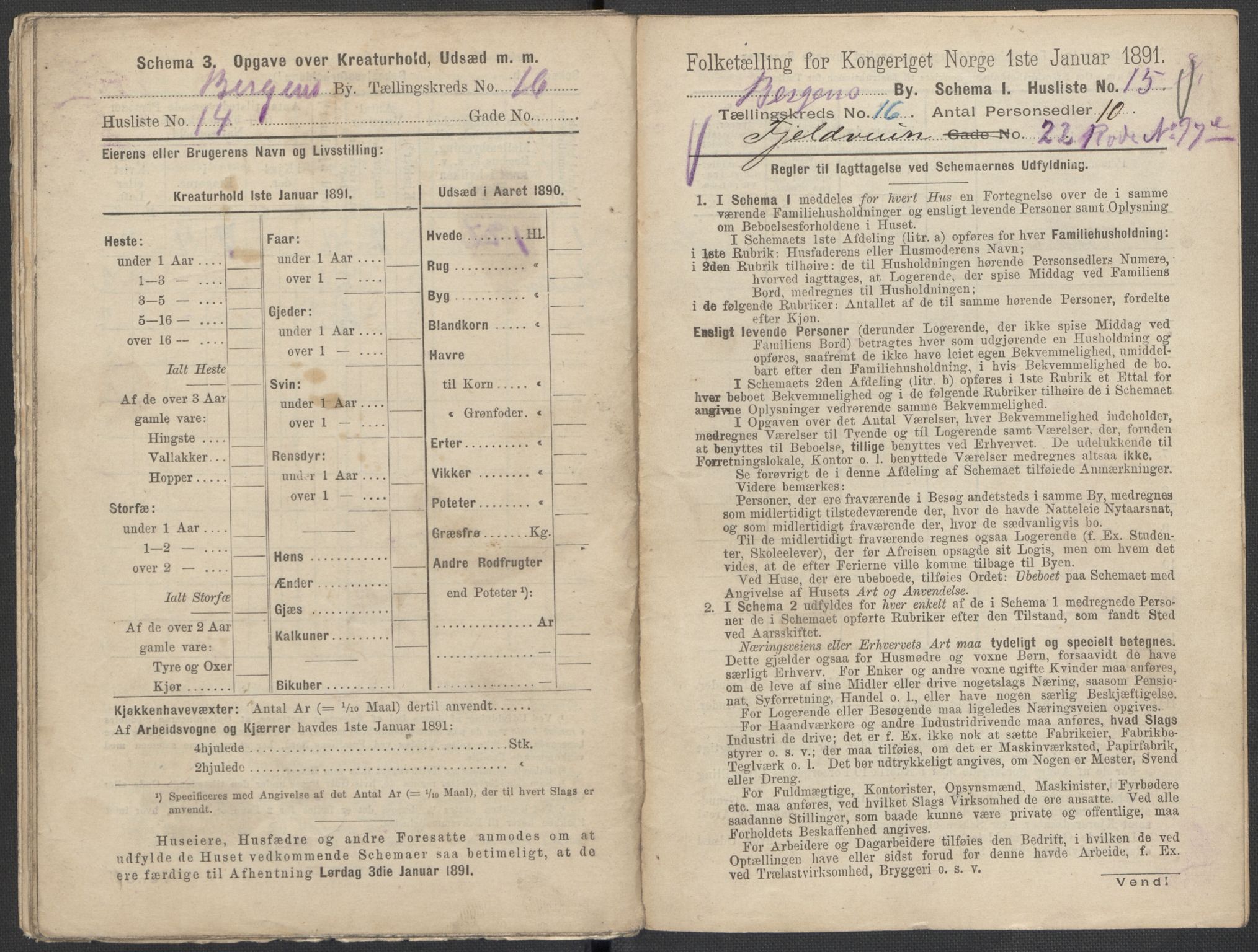 RA, 1891 Census for 1301 Bergen, 1891, p. 2494