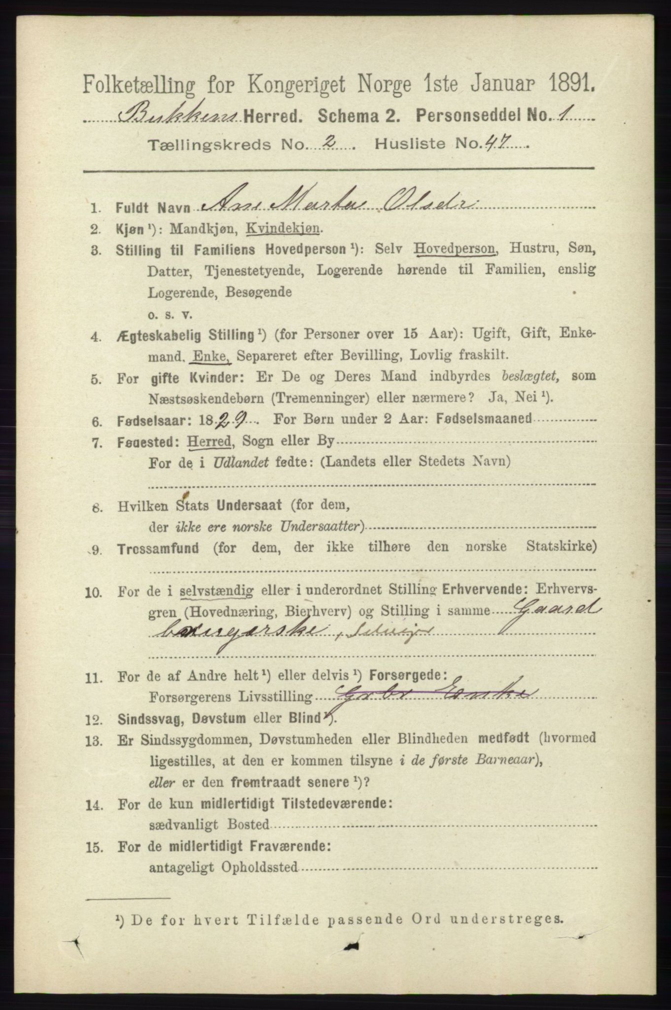 RA, 1891 census for 1145 Bokn, 1891, p. 586