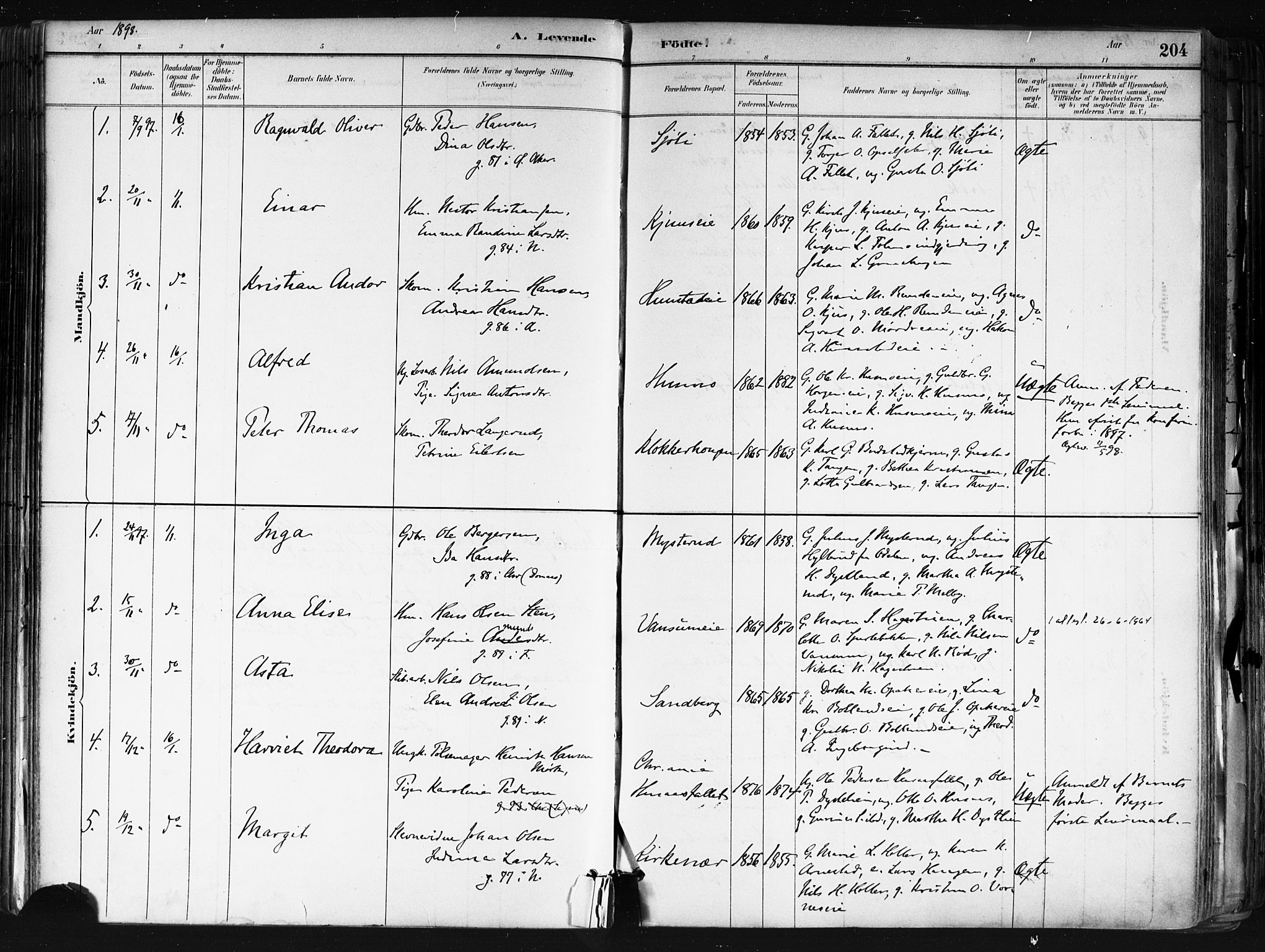 Nes prestekontor Kirkebøker, SAO/A-10410/F/Fa/L0010: Parish register (official) no. I 10, 1883-1898, p. 204