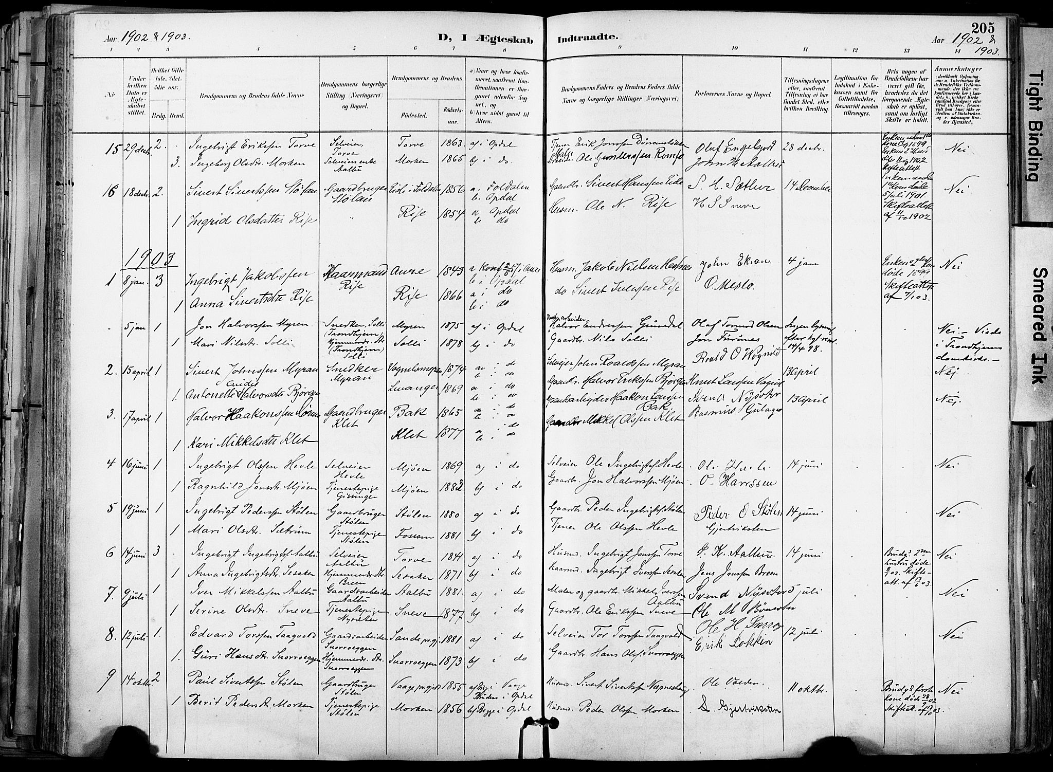 Ministerialprotokoller, klokkerbøker og fødselsregistre - Sør-Trøndelag, SAT/A-1456/678/L0902: Parish register (official) no. 678A11, 1895-1911, p. 205