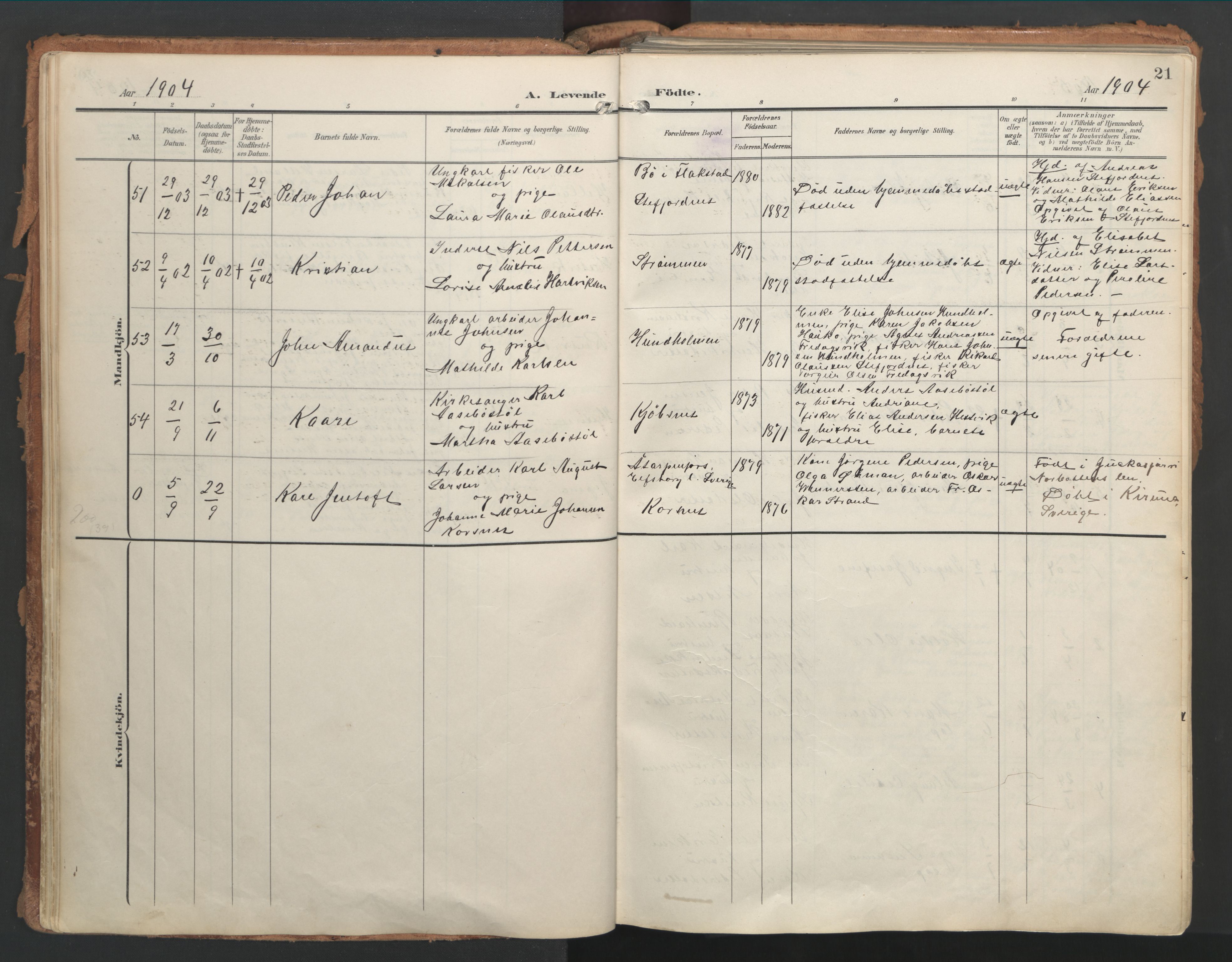 Ministerialprotokoller, klokkerbøker og fødselsregistre - Nordland, AV/SAT-A-1459/861/L0871: Parish register (official) no. 861A06, 1903-1916, p. 21