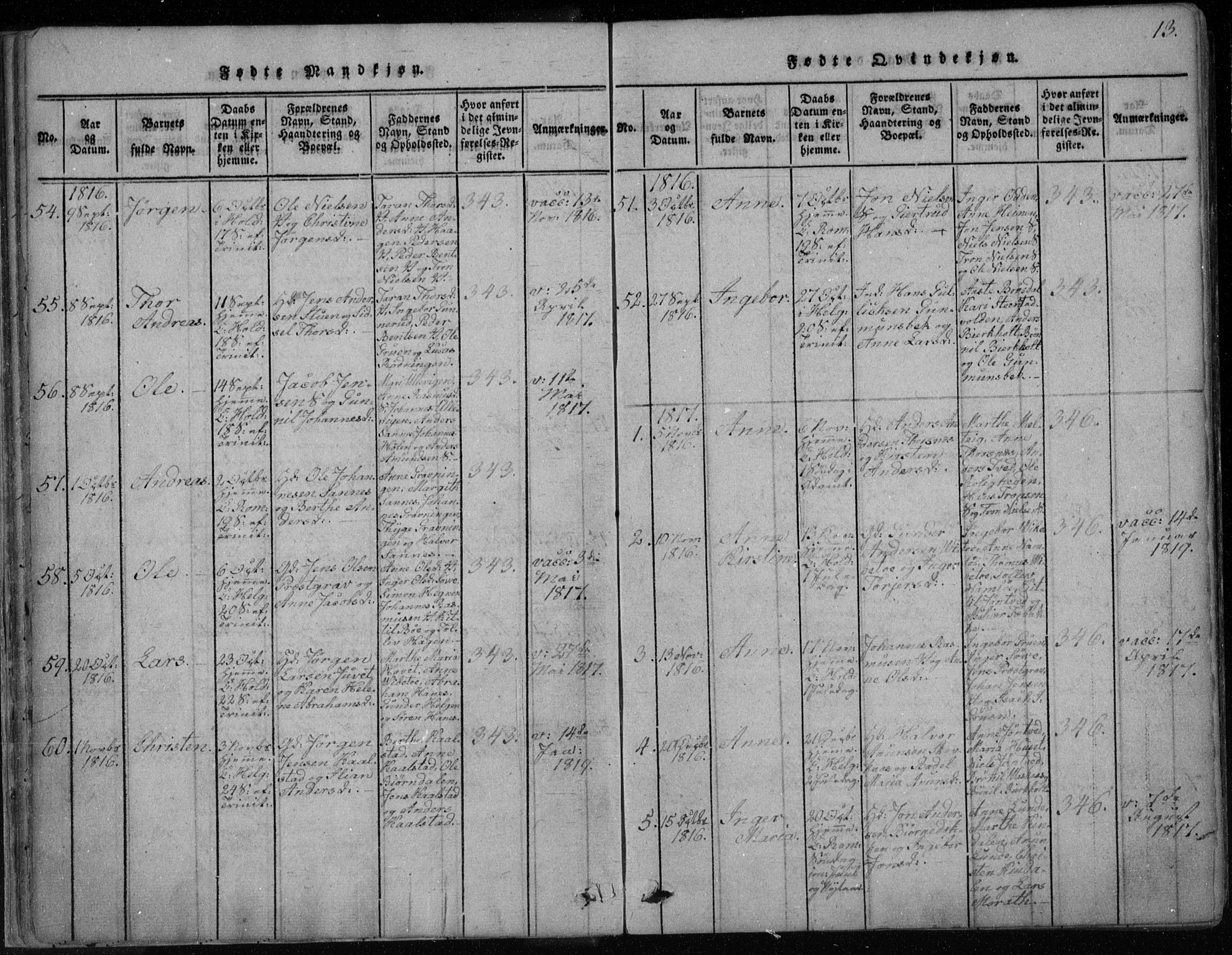 Holla kirkebøker, AV/SAKO-A-272/F/Fa/L0003: Parish register (official) no. 3, 1815-1830, p. 13