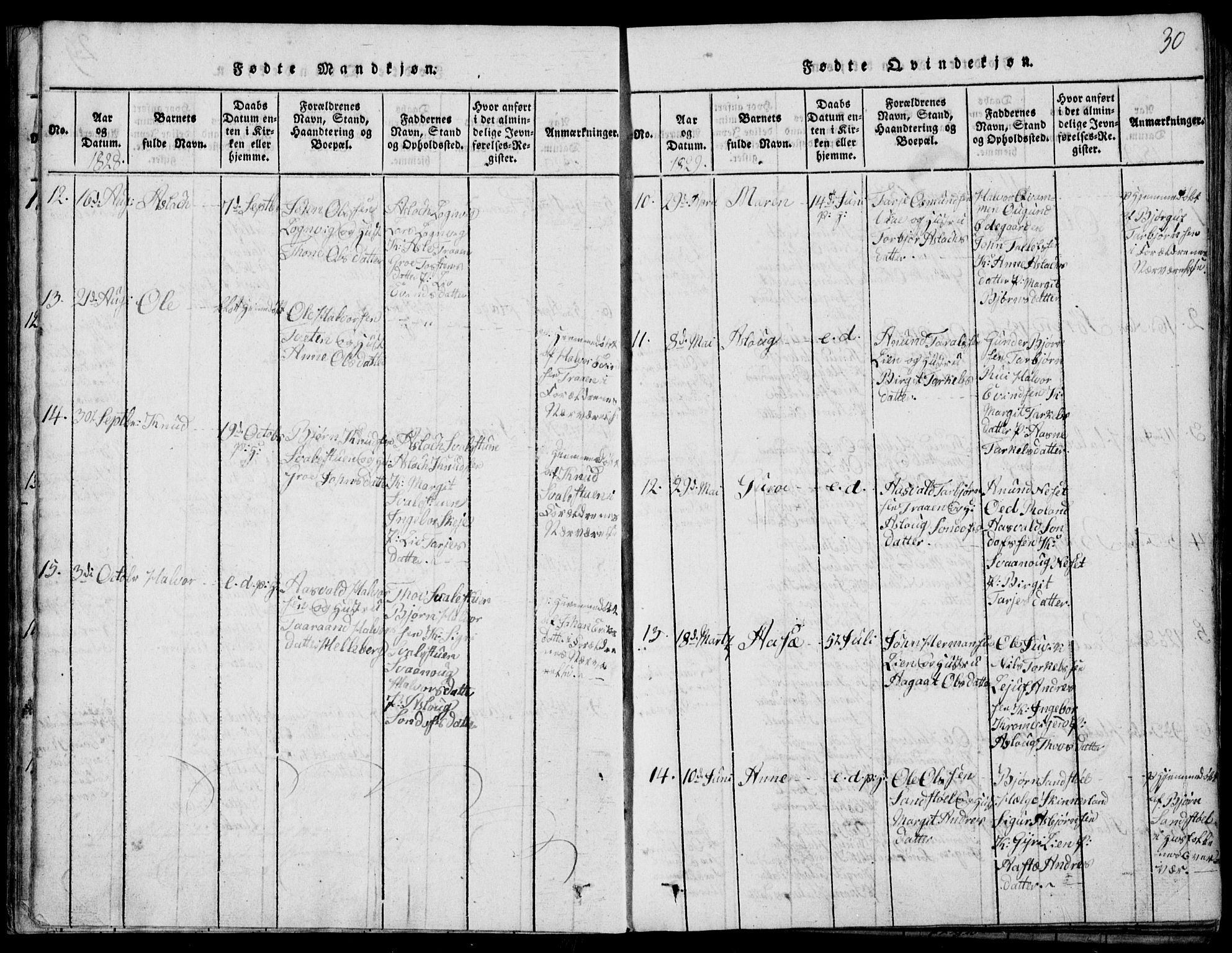 Rauland kirkebøker, SAKO/A-292/G/Ga/L0001: Parish register (copy) no. I 1, 1814-1843, p. 30