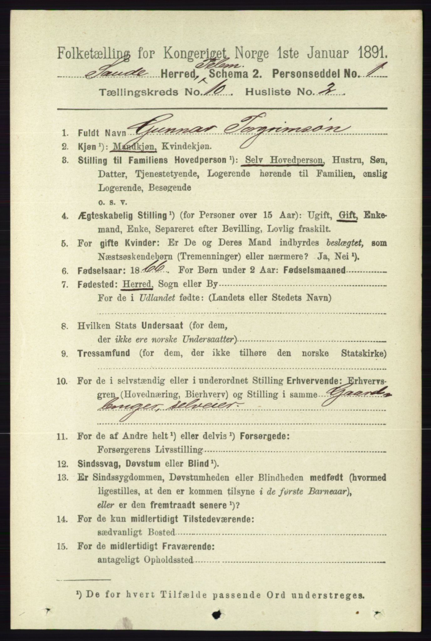 RA, 1891 census for 0822 Sauherad, 1891, p. 3008