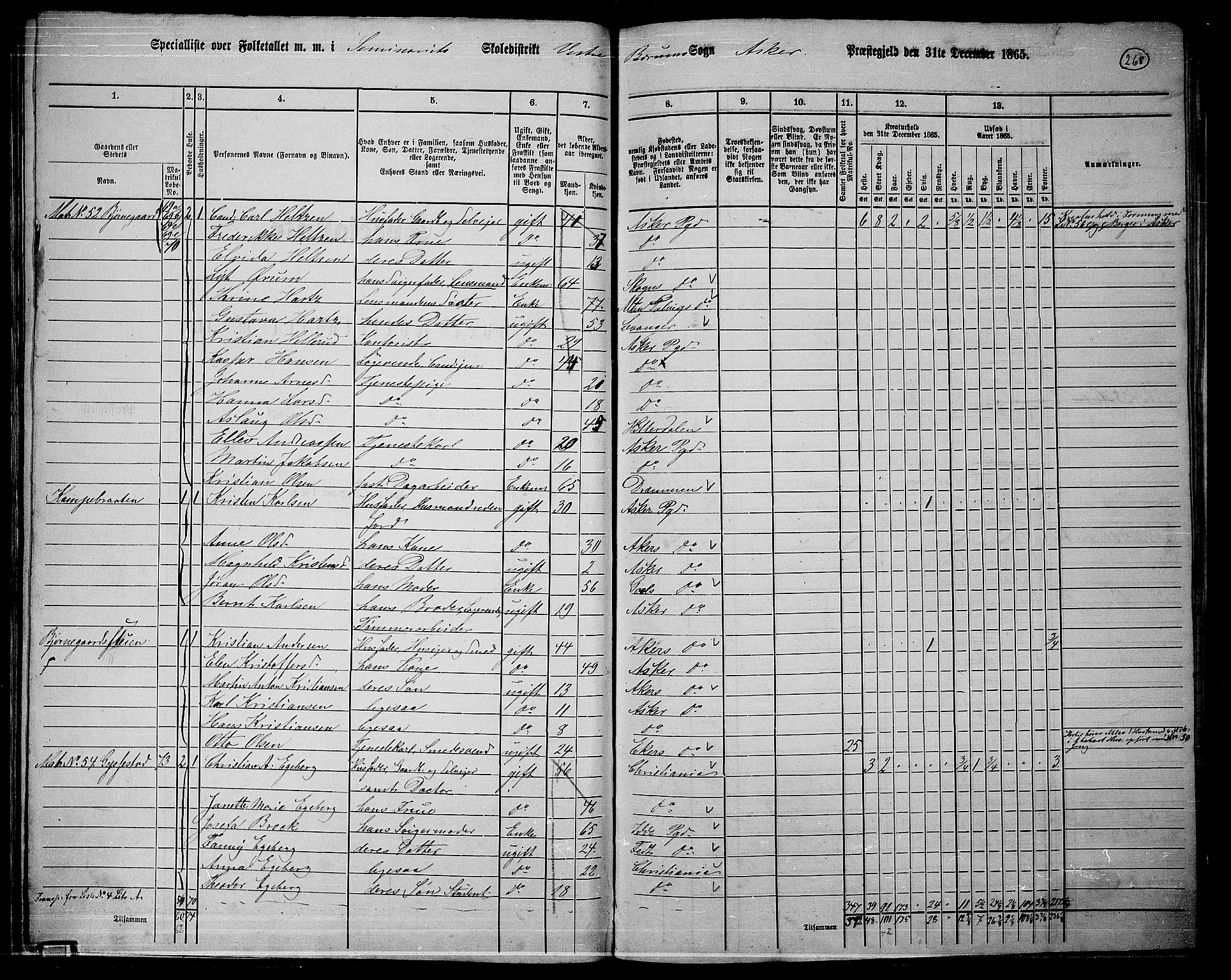 RA, 1865 census for Asker, 1865, p. 256