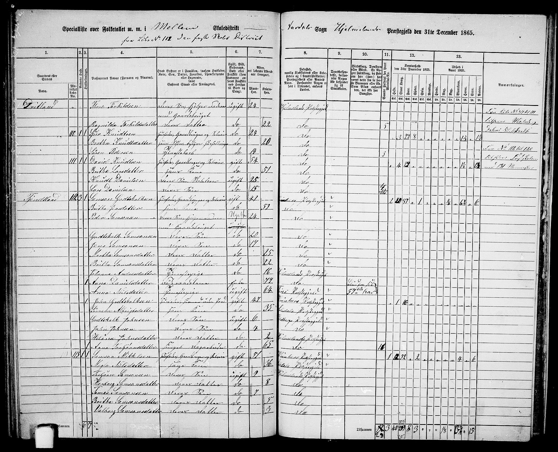 RA, 1865 census for Hjelmeland, 1865, p. 185