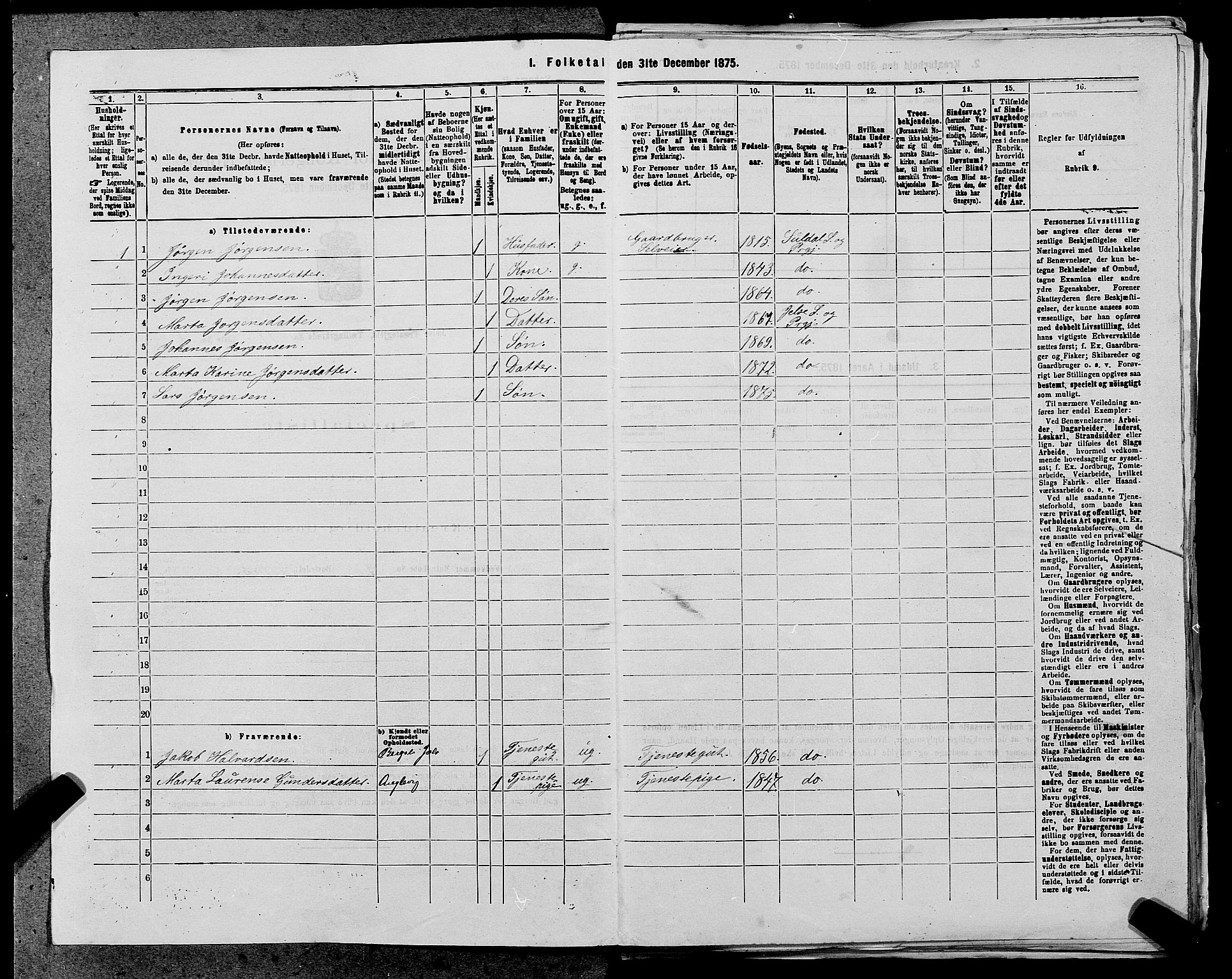 SAST, 1875 census for 1138P Jelsa, 1875, p. 975