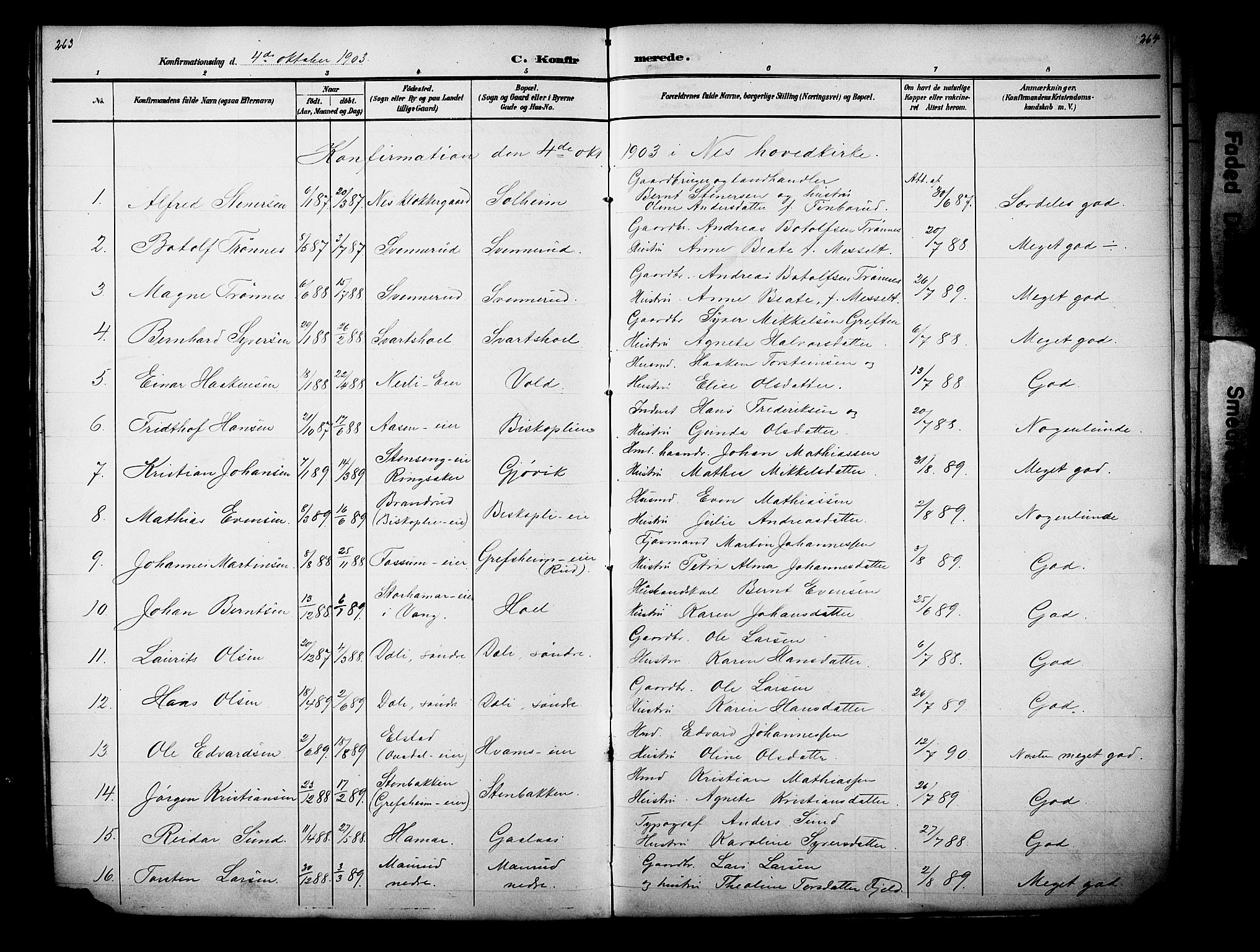 Nes prestekontor, Hedmark, SAH/PREST-020/L/La/L0006: Parish register (copy) no. 6, 1890-1932, p. 263-264