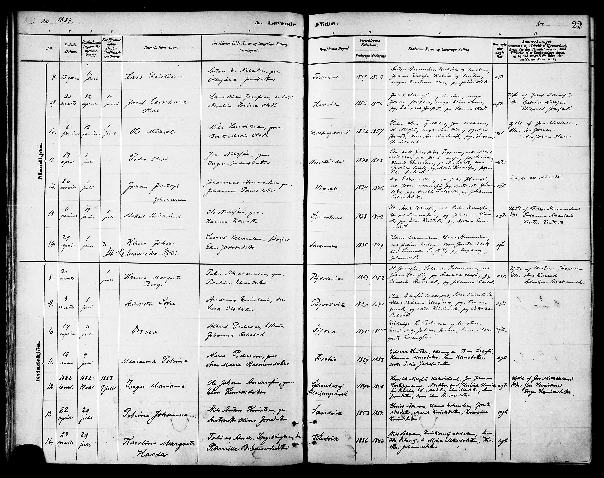 Ministerialprotokoller, klokkerbøker og fødselsregistre - Nordland, AV/SAT-A-1459/866/L0938: Parish register (official) no. 866A01, 1879-1893, p. 22