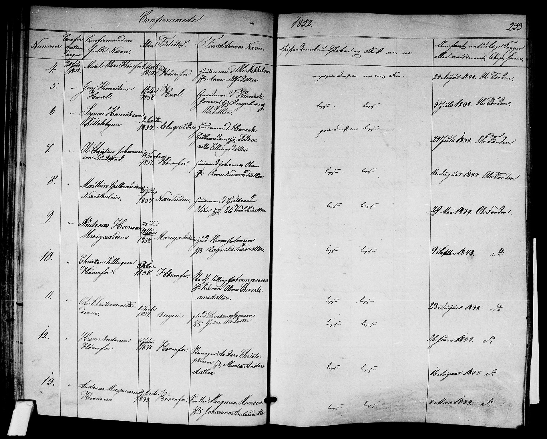 Norderhov kirkebøker, AV/SAKO-A-237/F/Fa/L0011: Parish register (official) no. 11, 1847-1856, p. 233