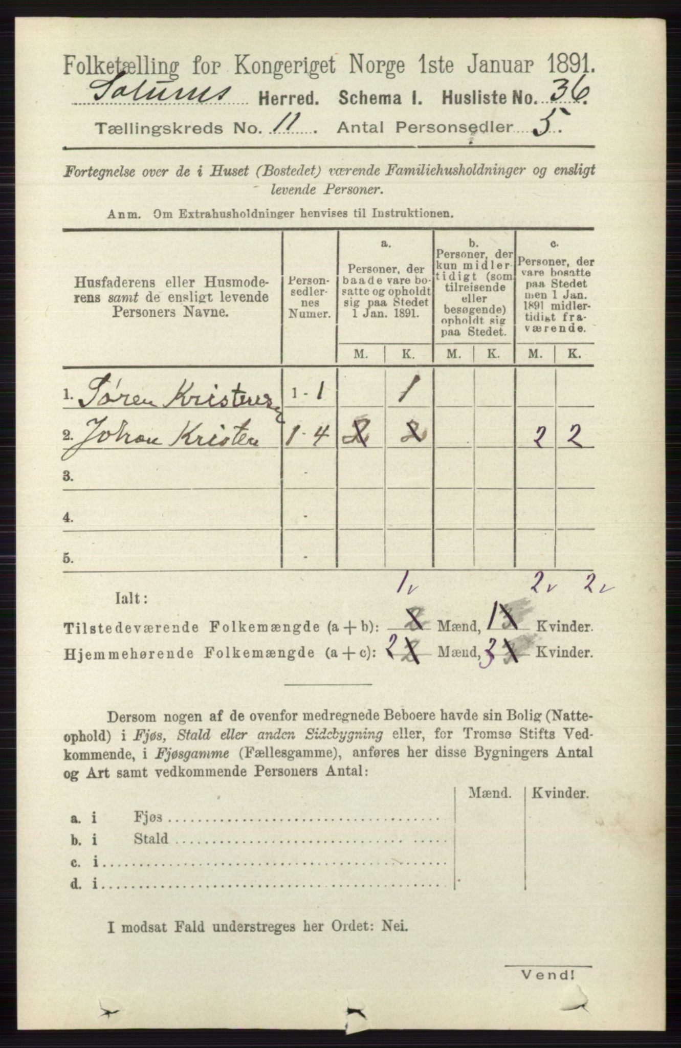 RA, 1891 census for 0818 Solum, 1891, p. 5273