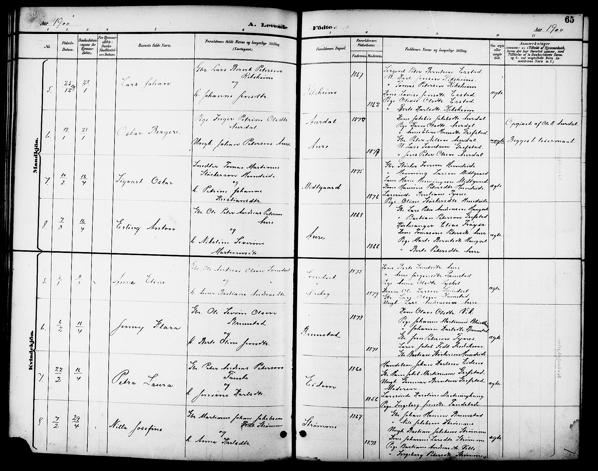 Ministerialprotokoller, klokkerbøker og fødselsregistre - Møre og Romsdal, AV/SAT-A-1454/523/L0340: Parish register (copy) no. 523C03, 1892-1902, p. 65