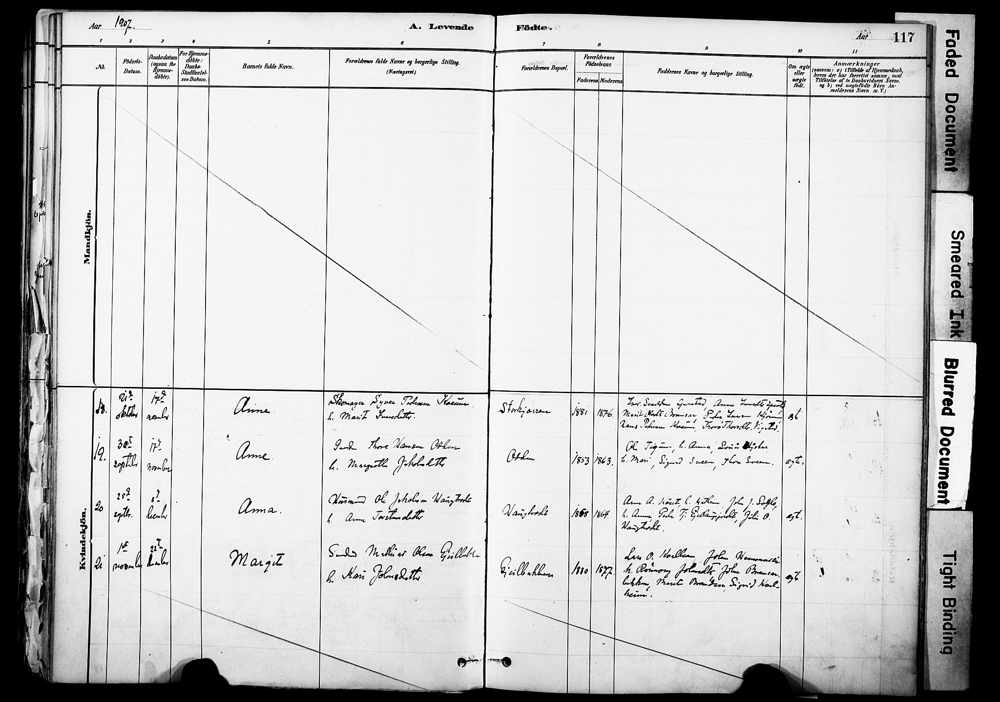Skjåk prestekontor, SAH/PREST-072/H/Ha/Haa/L0003: Parish register (official) no. 3, 1880-1907, p. 117