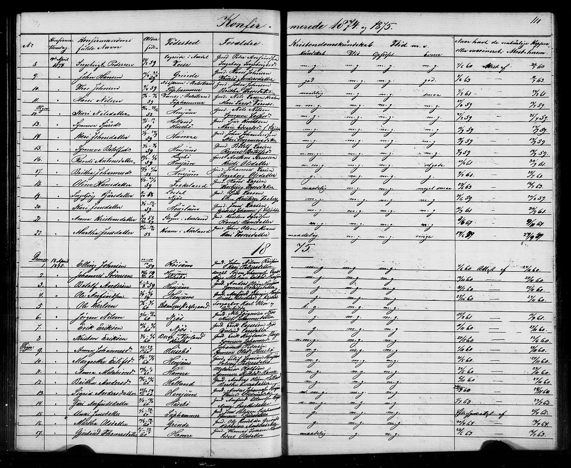 Leikanger sokneprestembete, SAB/A-81001: Parish register (copy) no. A 1, 1873-1916, p. 110