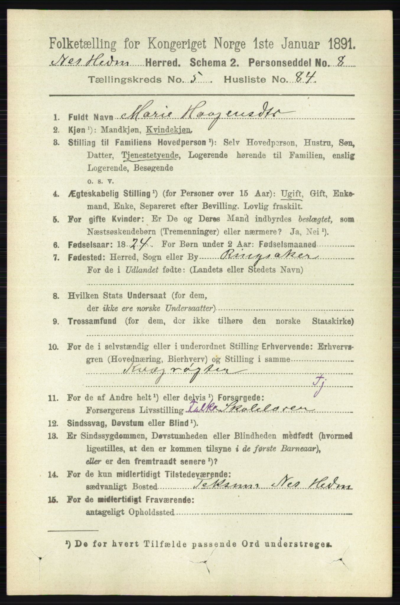 RA, 1891 census for 0411 Nes, 1891, p. 3157