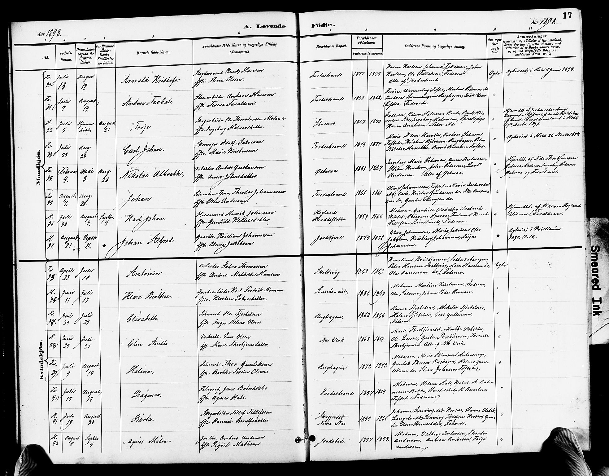 Holt sokneprestkontor, AV/SAK-1111-0021/F/Fb/L0011: Parish register (copy) no. B 11, 1897-1921, p. 17