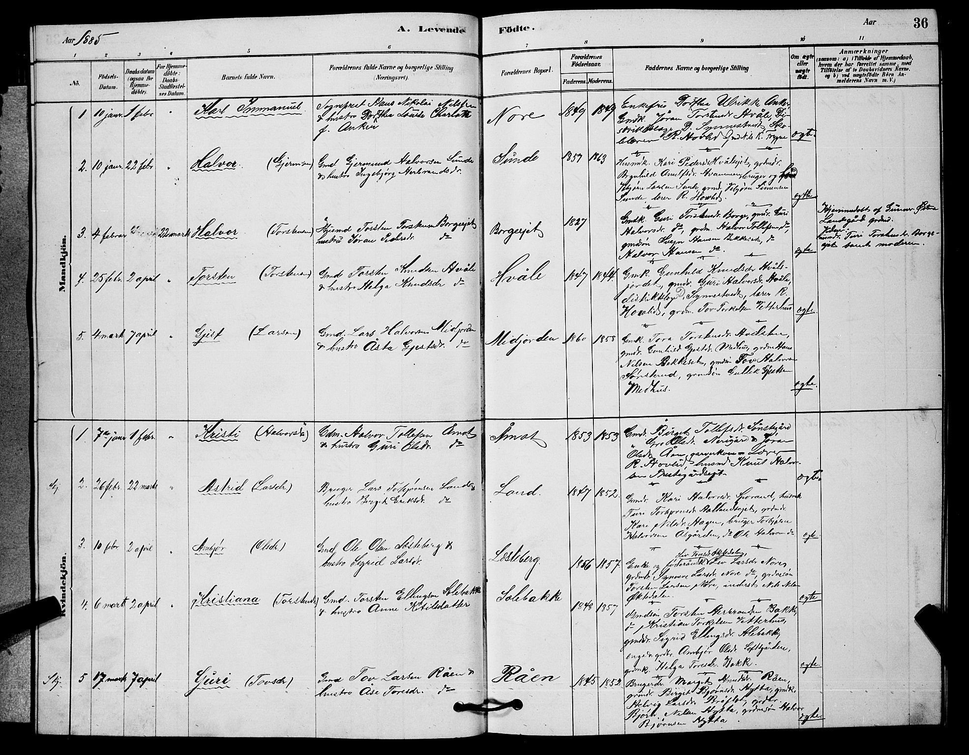 Nore kirkebøker, AV/SAKO-A-238/G/Ga/L0002: Parish register (copy) no. I 2, 1878-1885, p. 36