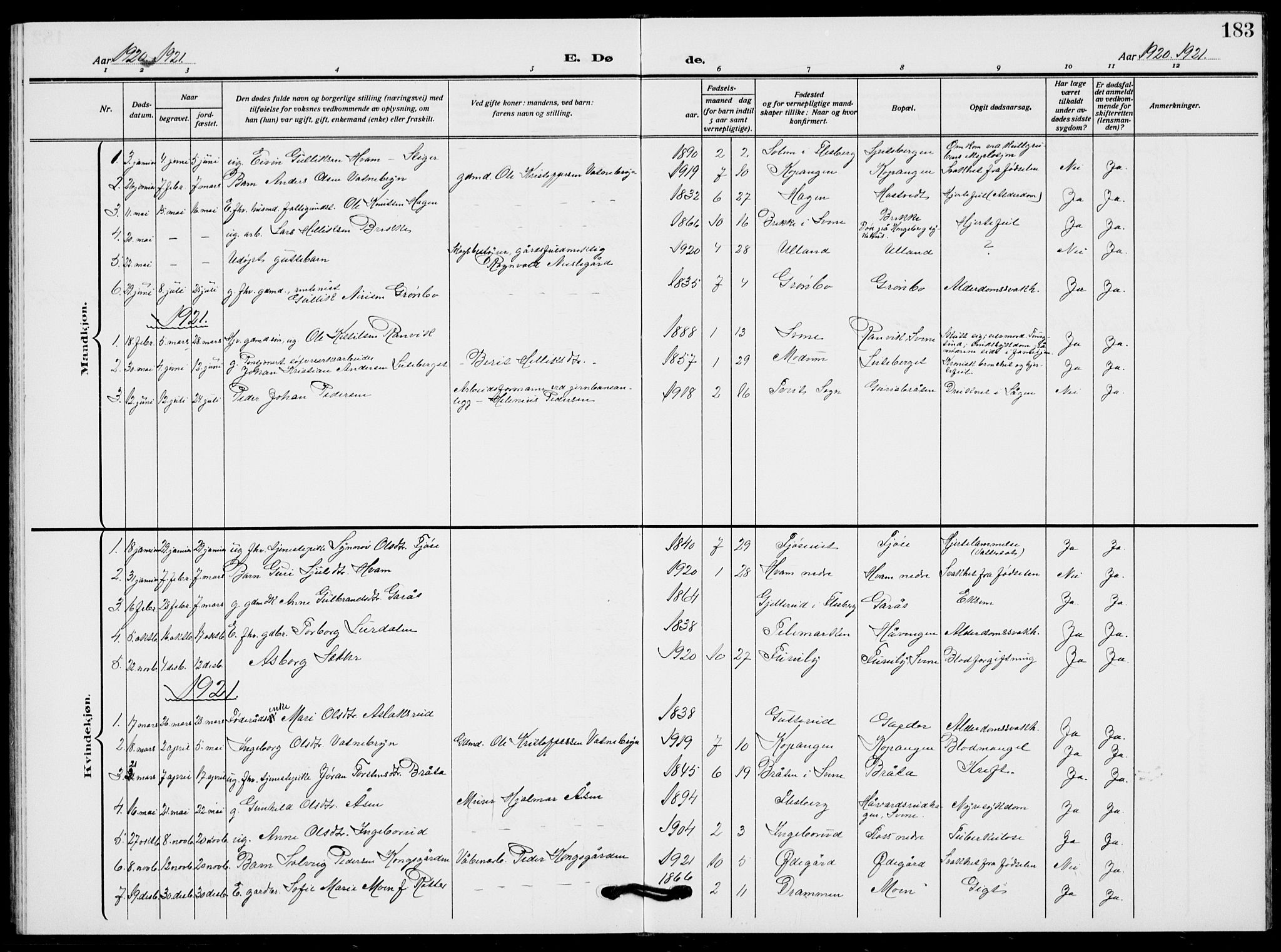 Flesberg kirkebøker, AV/SAKO-A-18/G/Ga/L0006: Parish register (copy) no. I 6, 1909-1924, p. 183