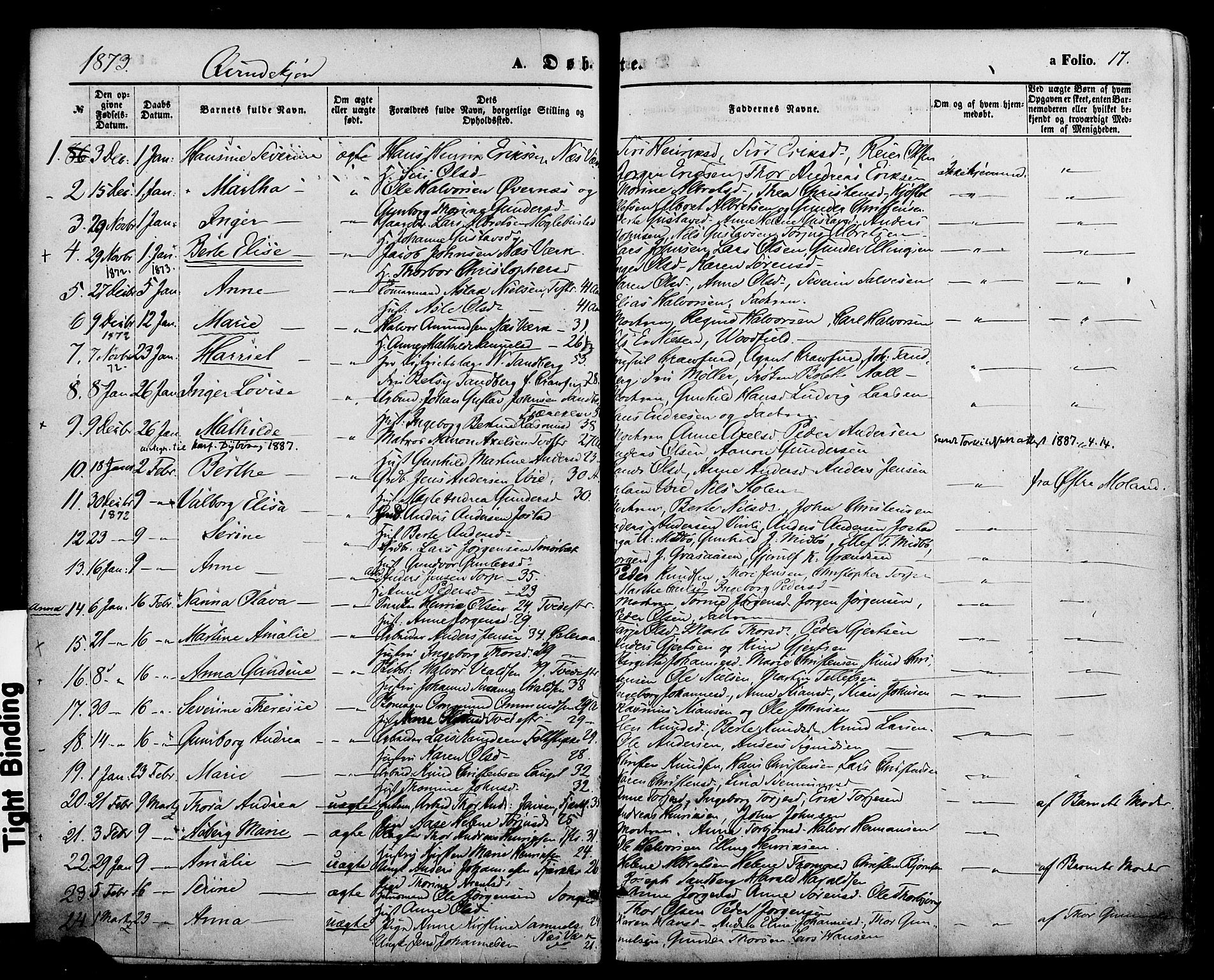 Holt sokneprestkontor, AV/SAK-1111-0021/F/Fa/L0010: Parish register (official) no. A 10, 1872-1885, p. 17