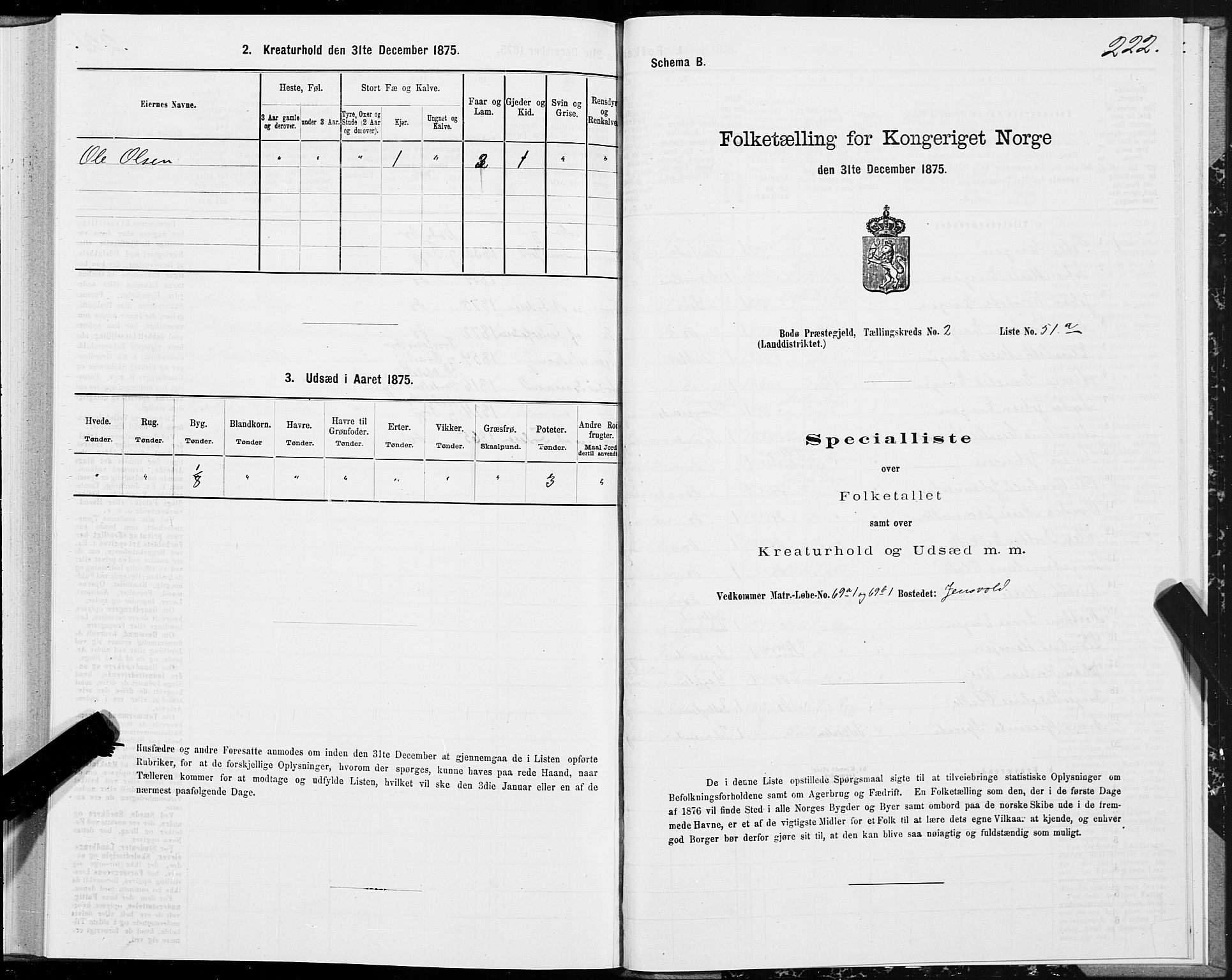 SAT, 1875 census for 1843L Bodø/Bodø, 1875, p. 1222
