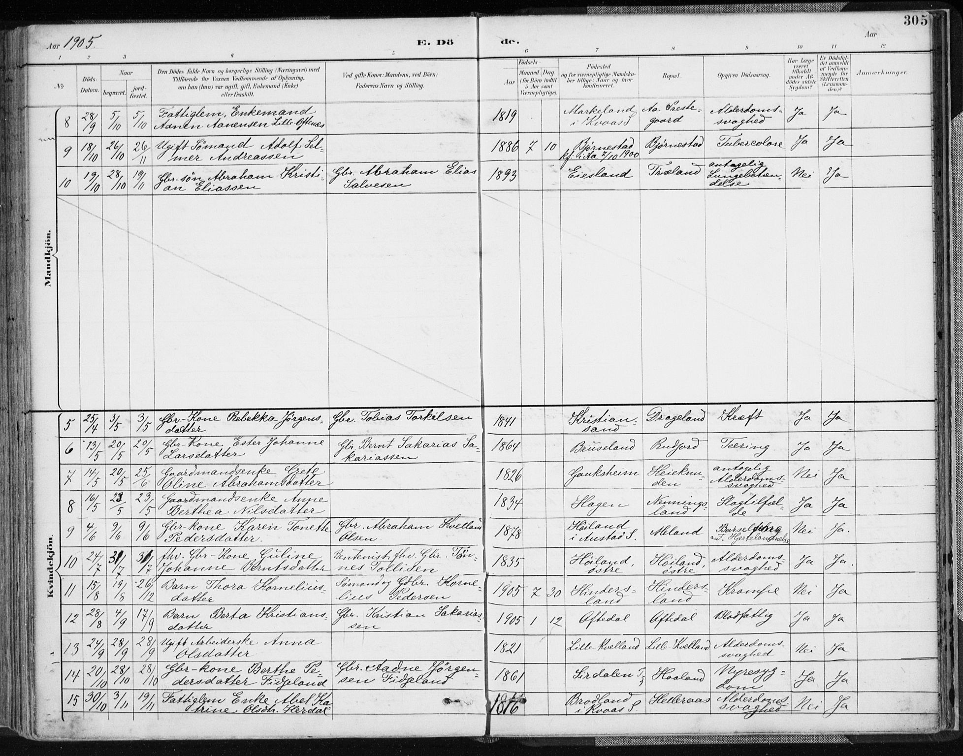 Lyngdal sokneprestkontor, AV/SAK-1111-0029/F/Fa/Fac/L0012: Parish register (official) no. A 12, 1894-1918, p. 305