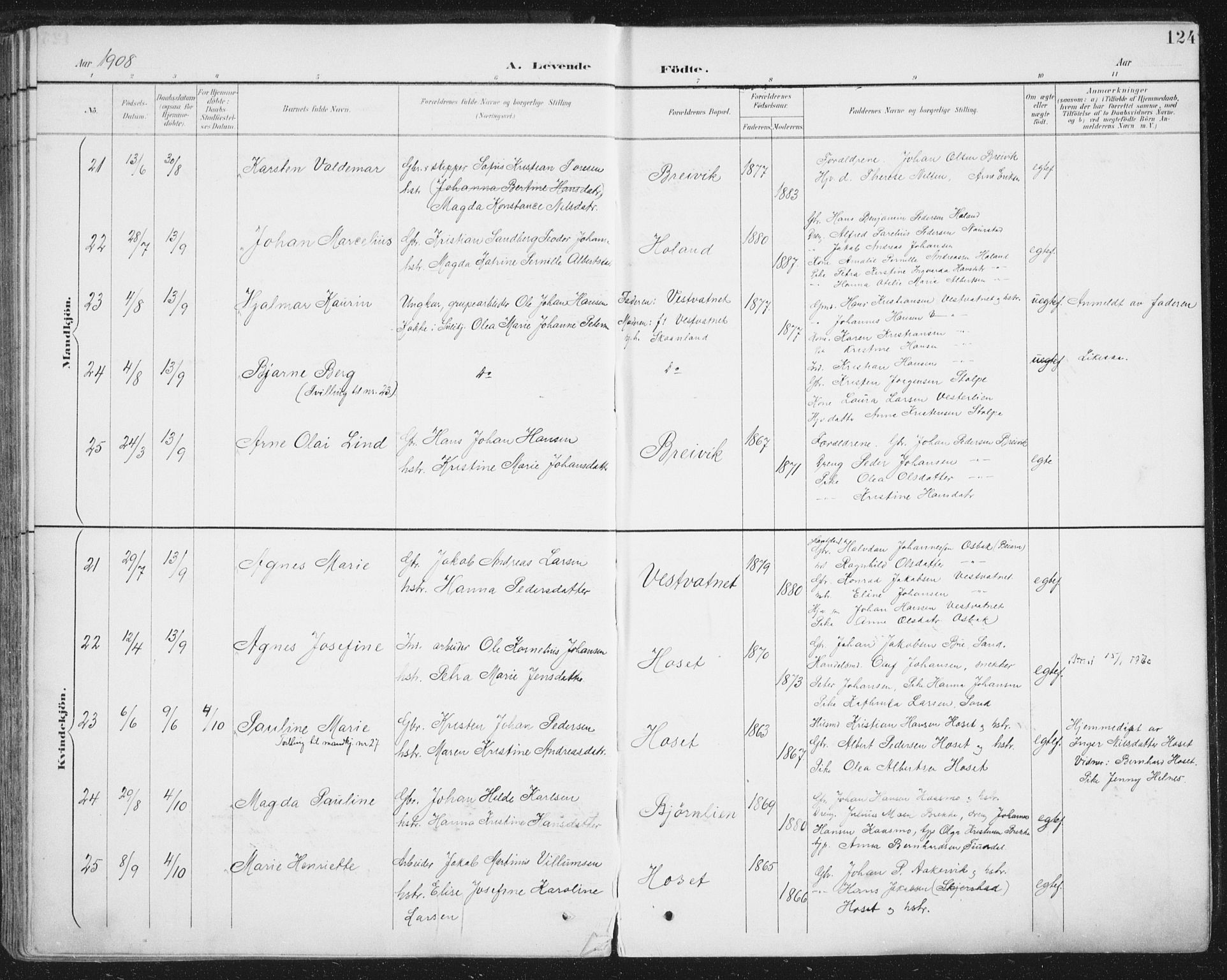 Ministerialprotokoller, klokkerbøker og fødselsregistre - Nordland, AV/SAT-A-1459/852/L0741: Parish register (official) no. 852A11, 1894-1917, p. 124
