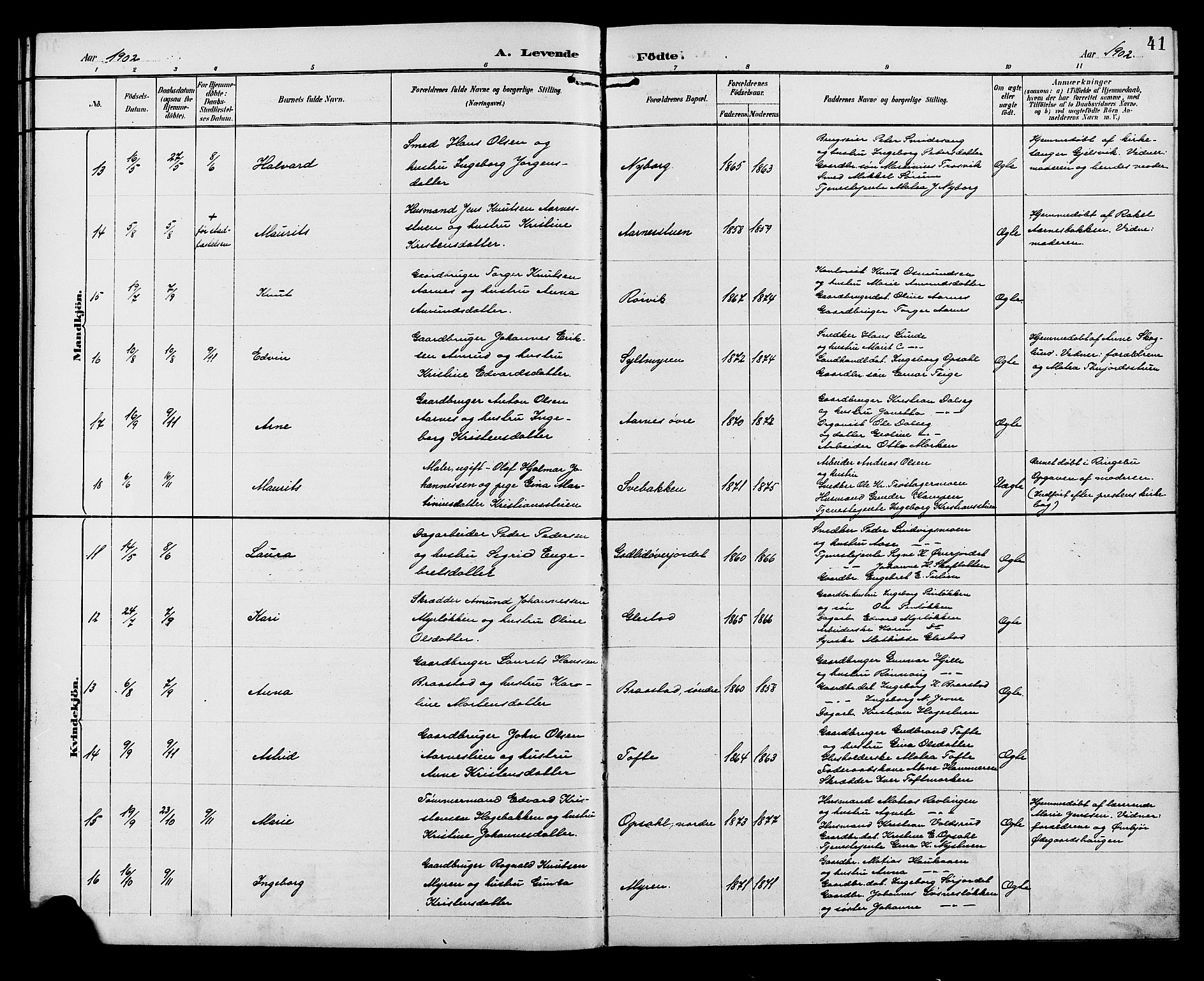 Ringebu prestekontor, AV/SAH-PREST-082/H/Ha/Hab/L0007: Parish register (copy) no. 7, 1890-1910, p. 41