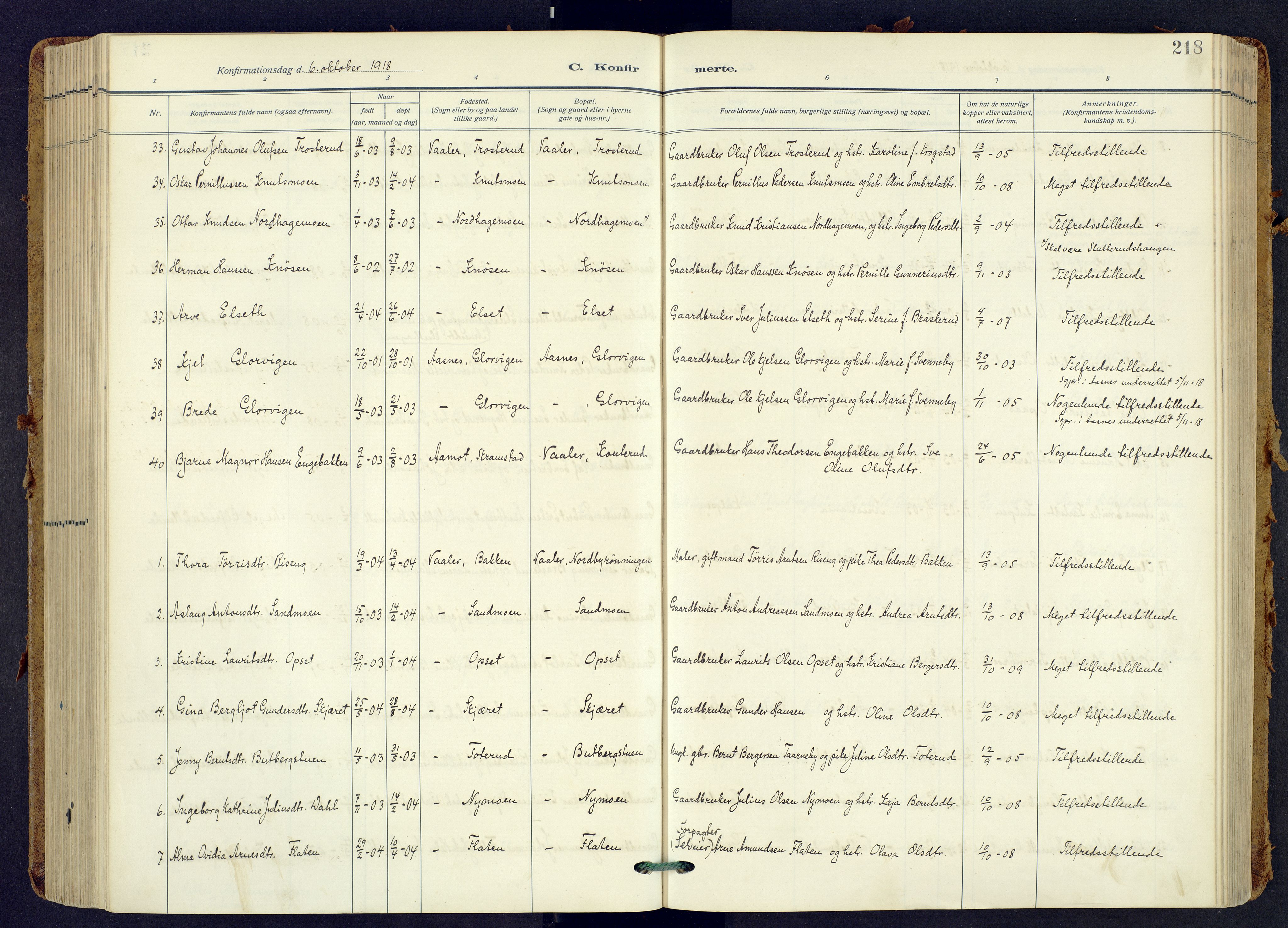 Våler prestekontor, Hedmark, AV/SAH-PREST-040/H/Ha/Haa/L0009: Parish register (official) no. 9, 1912-1940, p. 218