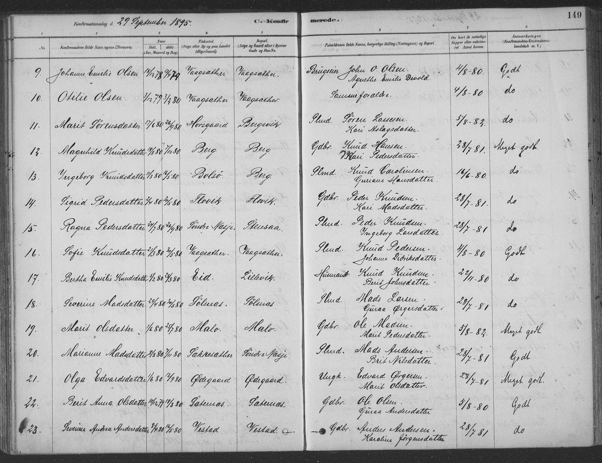 Ministerialprotokoller, klokkerbøker og fødselsregistre - Møre og Romsdal, AV/SAT-A-1454/547/L0604: Parish register (official) no. 547A06, 1878-1906, p. 149