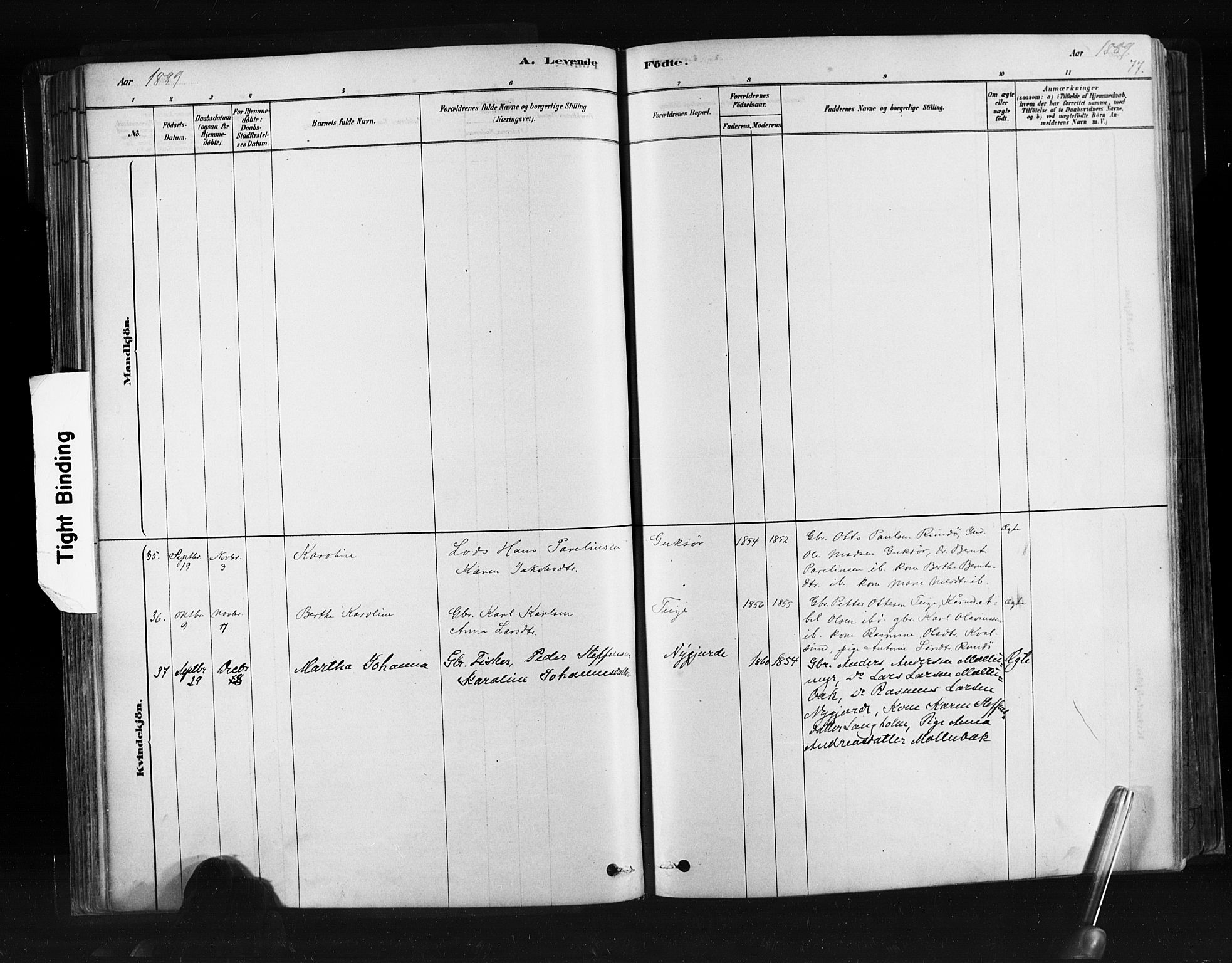 Ministerialprotokoller, klokkerbøker og fødselsregistre - Møre og Romsdal, SAT/A-1454/507/L0073: Parish register (official) no. 507A08, 1878-1904, p. 77