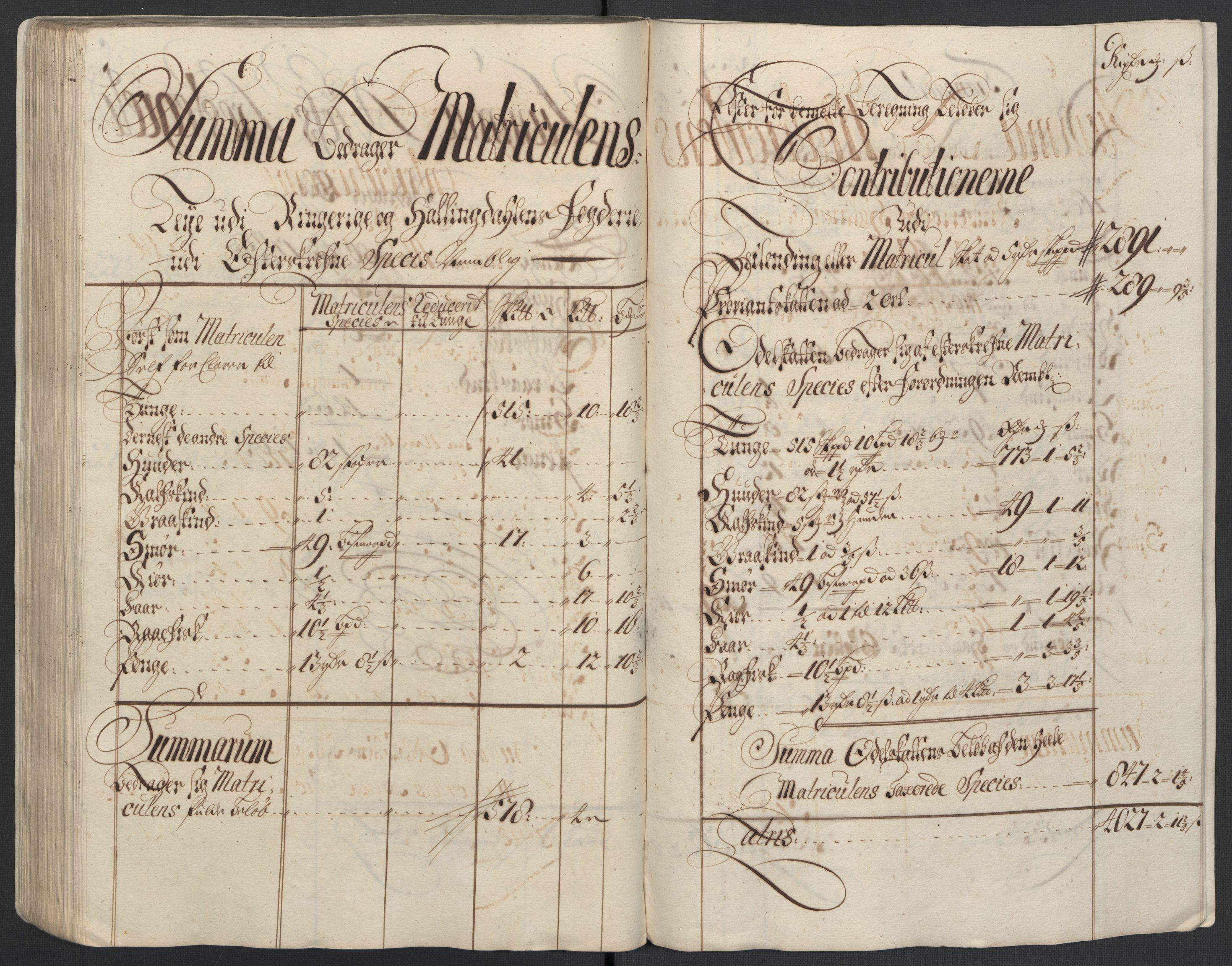 Rentekammeret inntil 1814, Reviderte regnskaper, Fogderegnskap, AV/RA-EA-4092/R23/L1469: Fogderegnskap Ringerike og Hallingdal, 1711, p. 112
