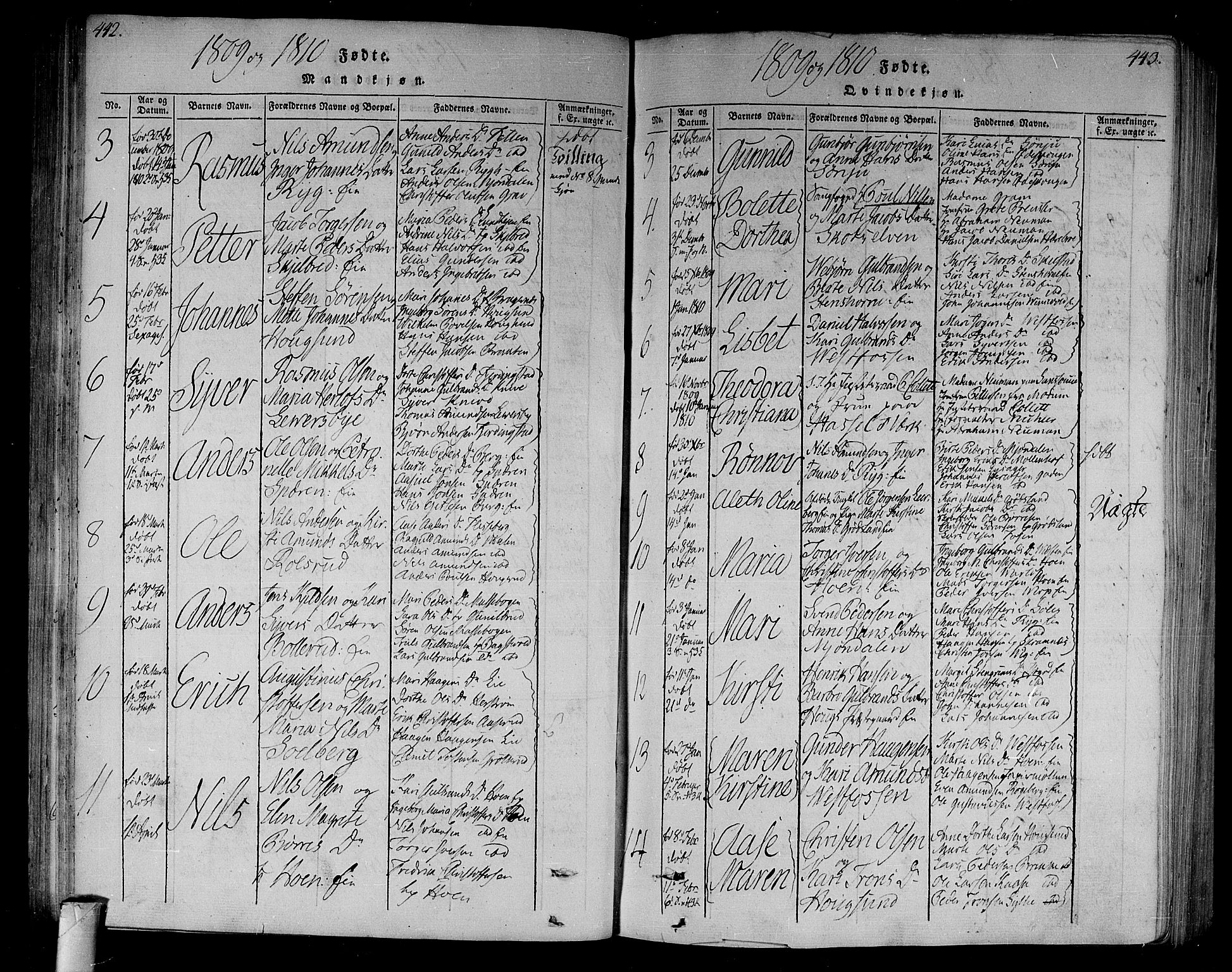 Eiker kirkebøker, AV/SAKO-A-4/F/Fa/L0010: Parish register (official) no. I 10, 1806-1815, p. 442-443