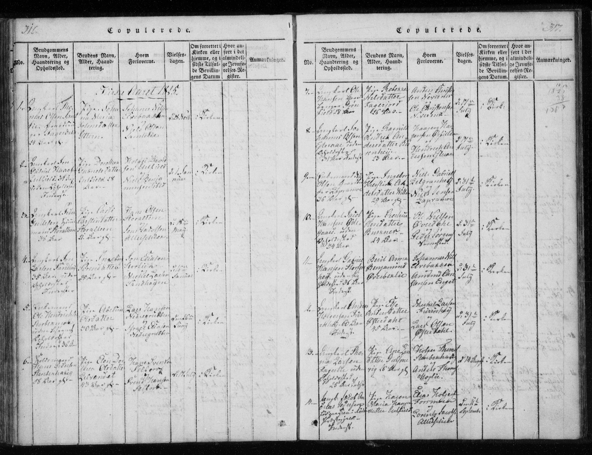 Ministerialprotokoller, klokkerbøker og fødselsregistre - Nordland, AV/SAT-A-1459/825/L0353: Parish register (official) no. 825A07, 1820-1826, p. 316-317