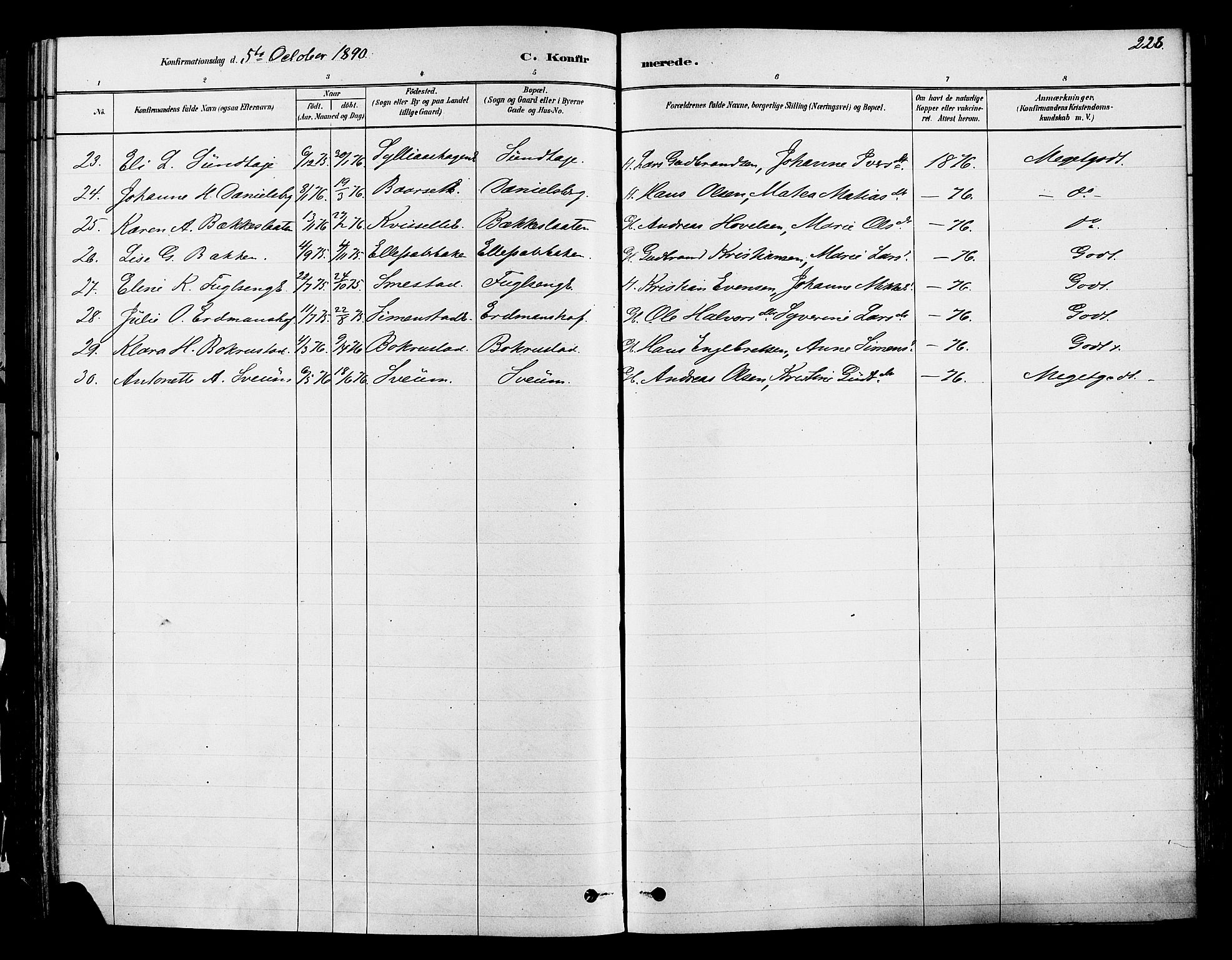 Ringsaker prestekontor, AV/SAH-PREST-014/K/Ka/L0012: Parish register (official) no. 12, 1879-1890, p. 228