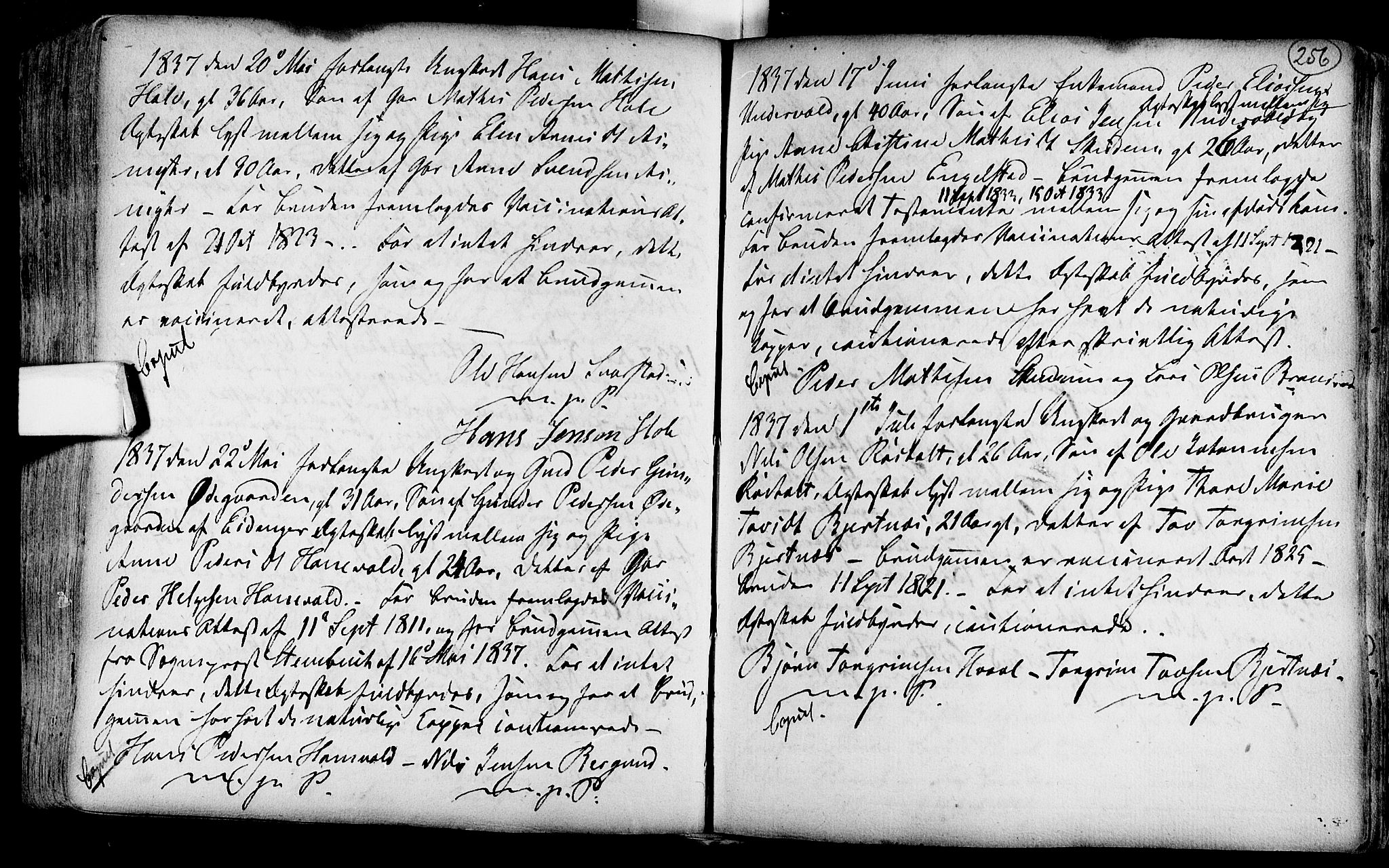 Lardal kirkebøker, SAKO/A-350/F/Fa/L0004: Parish register (official) no. i 4, 1733-1815, p. 256