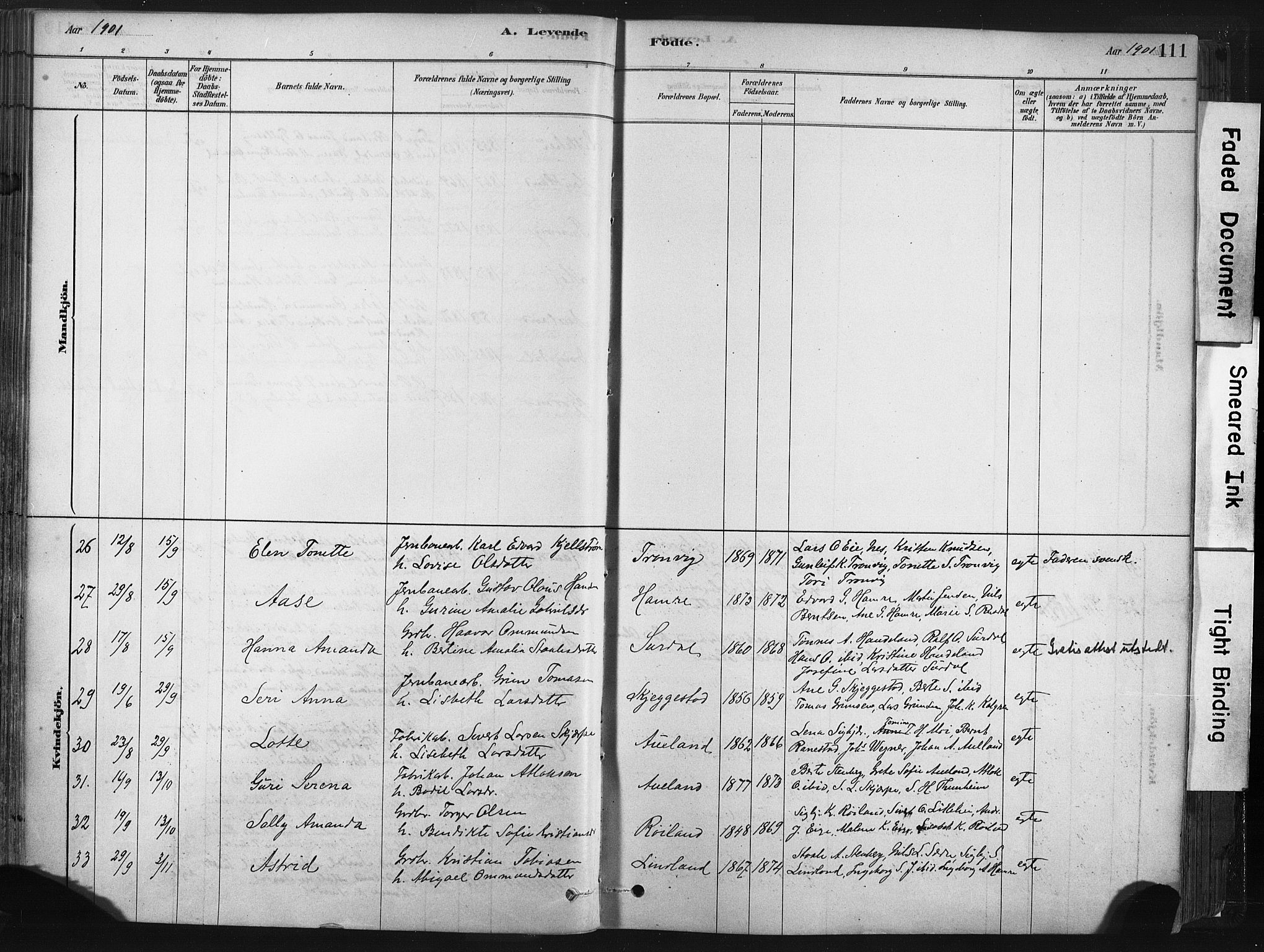 Lund sokneprestkontor, AV/SAST-A-101809/S06/L0011: Parish register (official) no. A 10, 1877-1904, p. 111