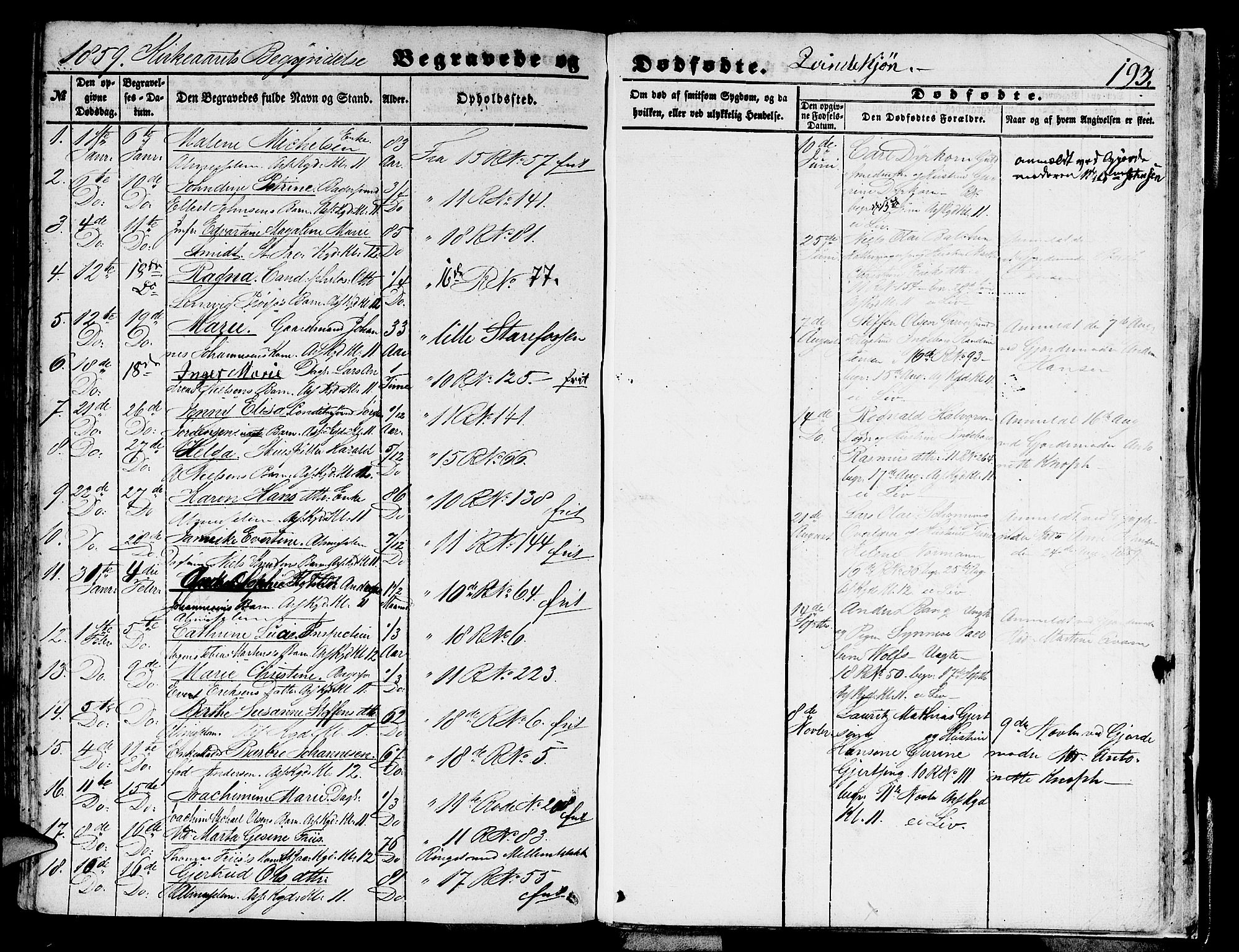 Domkirken sokneprestembete, SAB/A-74801/H/Hab/L0038: Parish register (copy) no. E 2, 1847-1859, p. 193