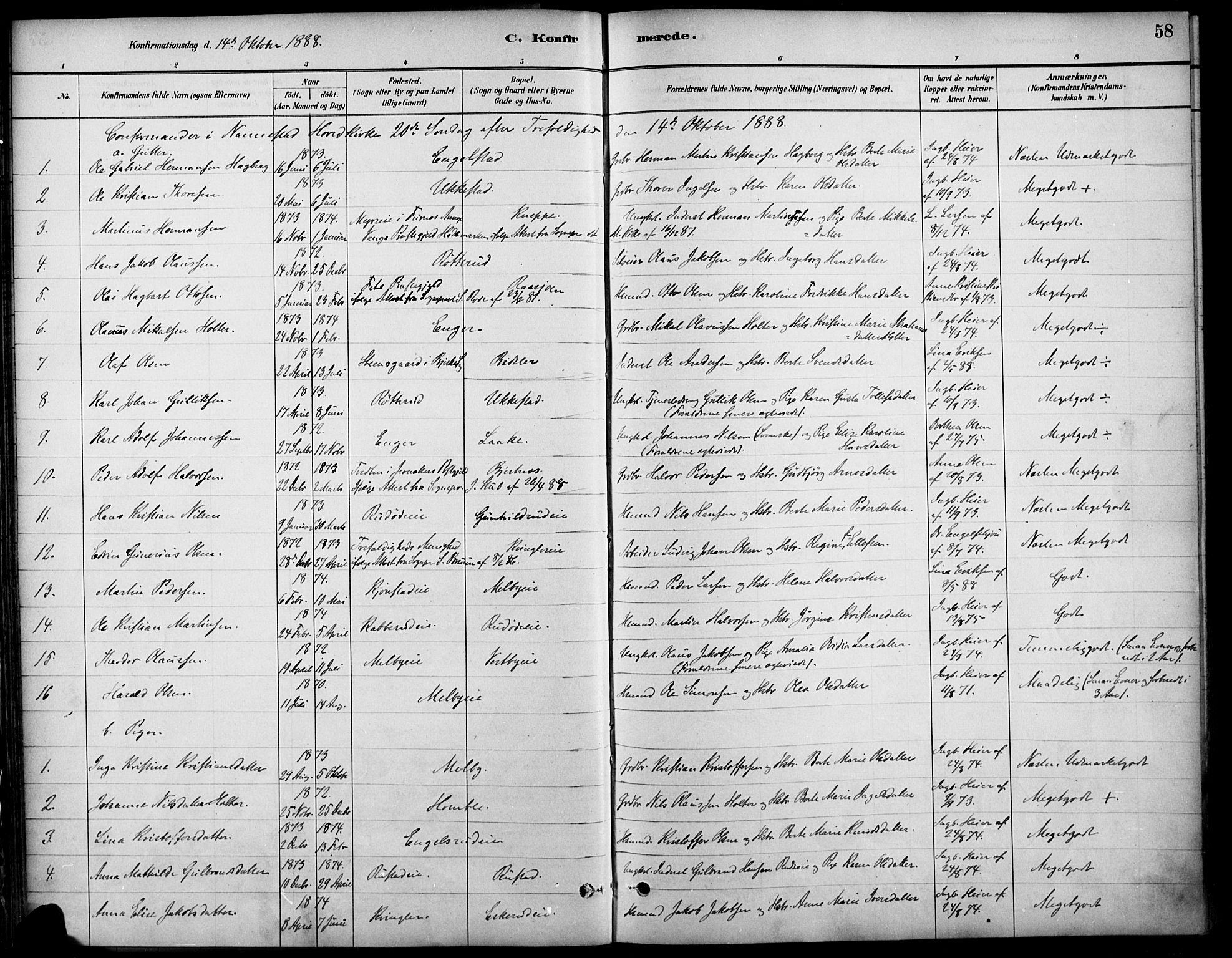 Nannestad prestekontor Kirkebøker, SAO/A-10414a/F/Fa/L0014: Parish register (official) no. I 14, 1881-1890, p. 58