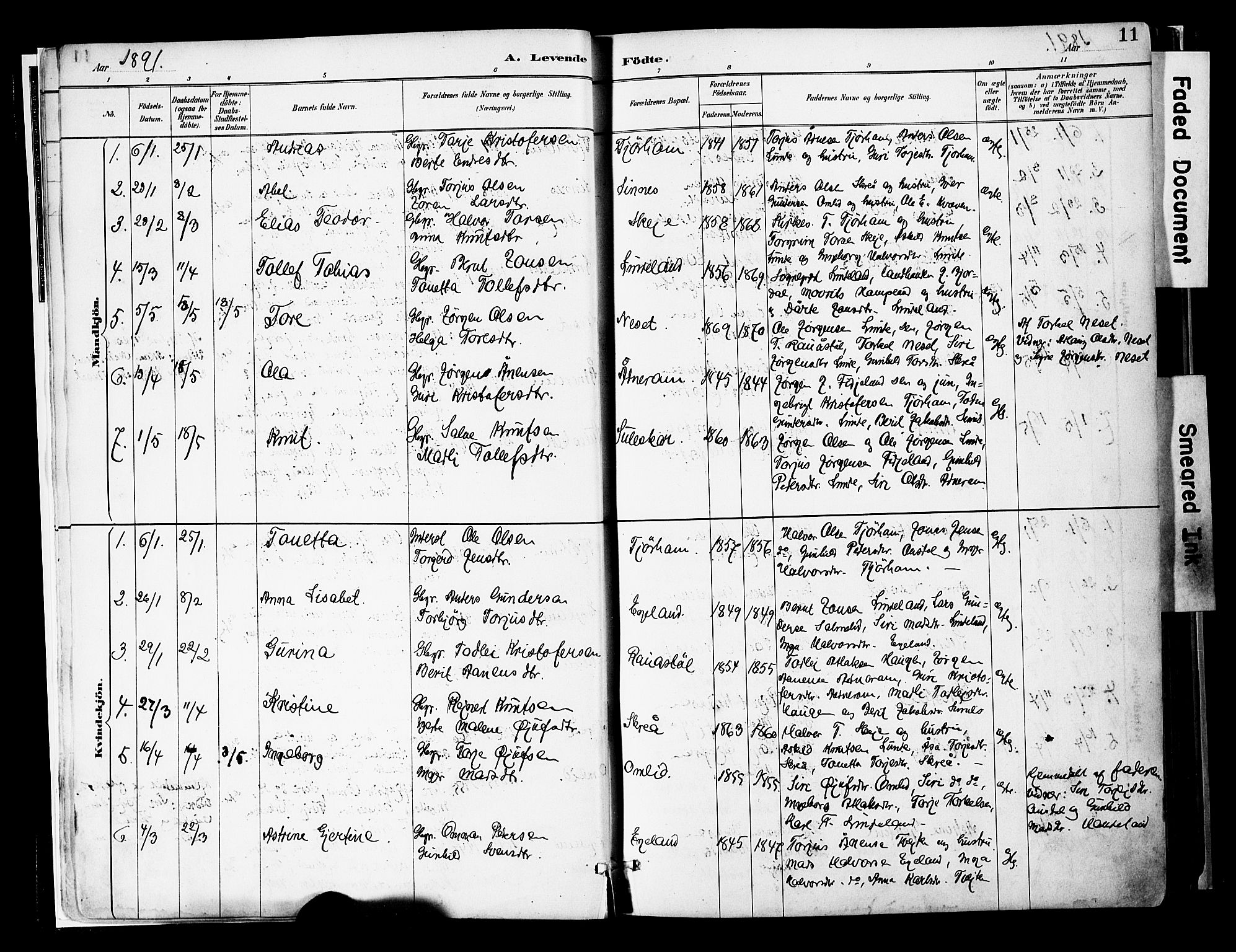 Sirdal sokneprestkontor, AV/SAK-1111-0036/F/Fa/Faa/L0001: Parish register (official) no. A 1, 1887-1910, p. 11